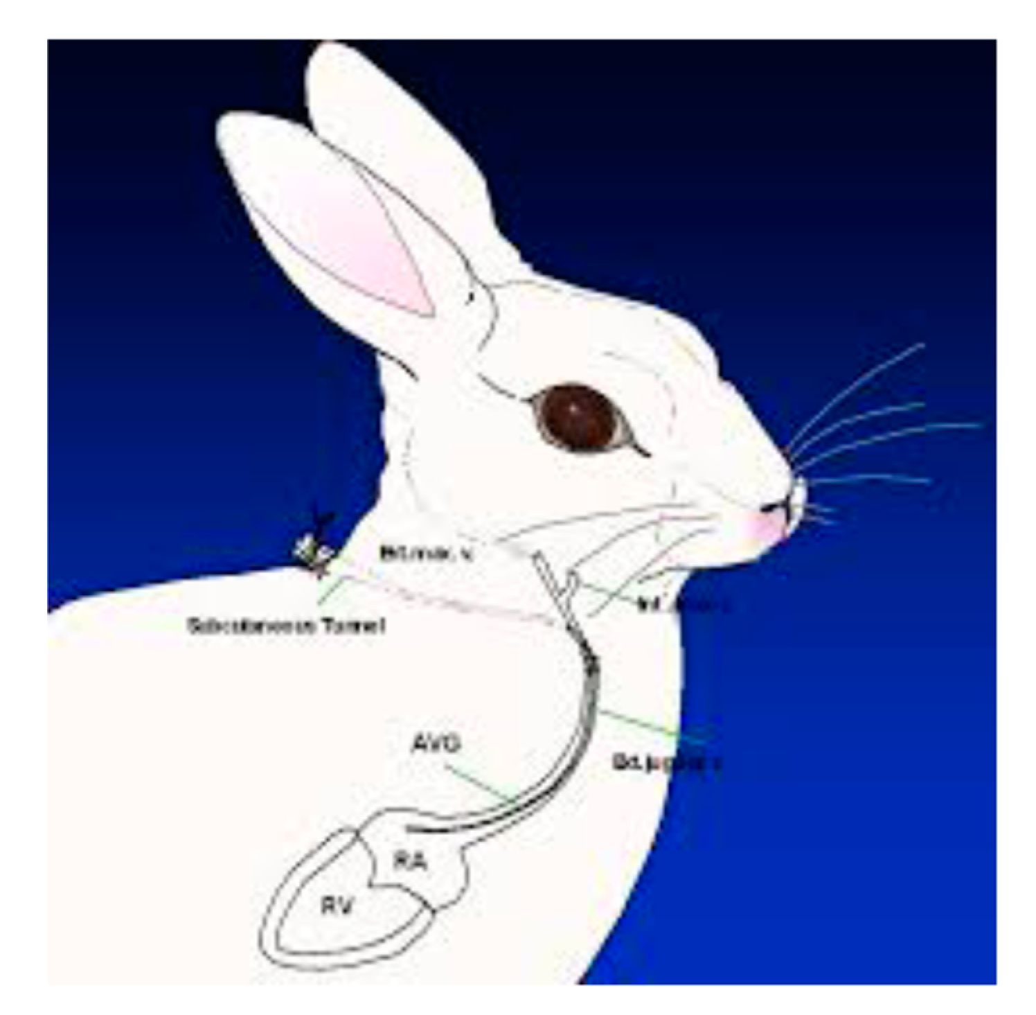 Jof 06 00198 g002 Jof 06 00198 g002