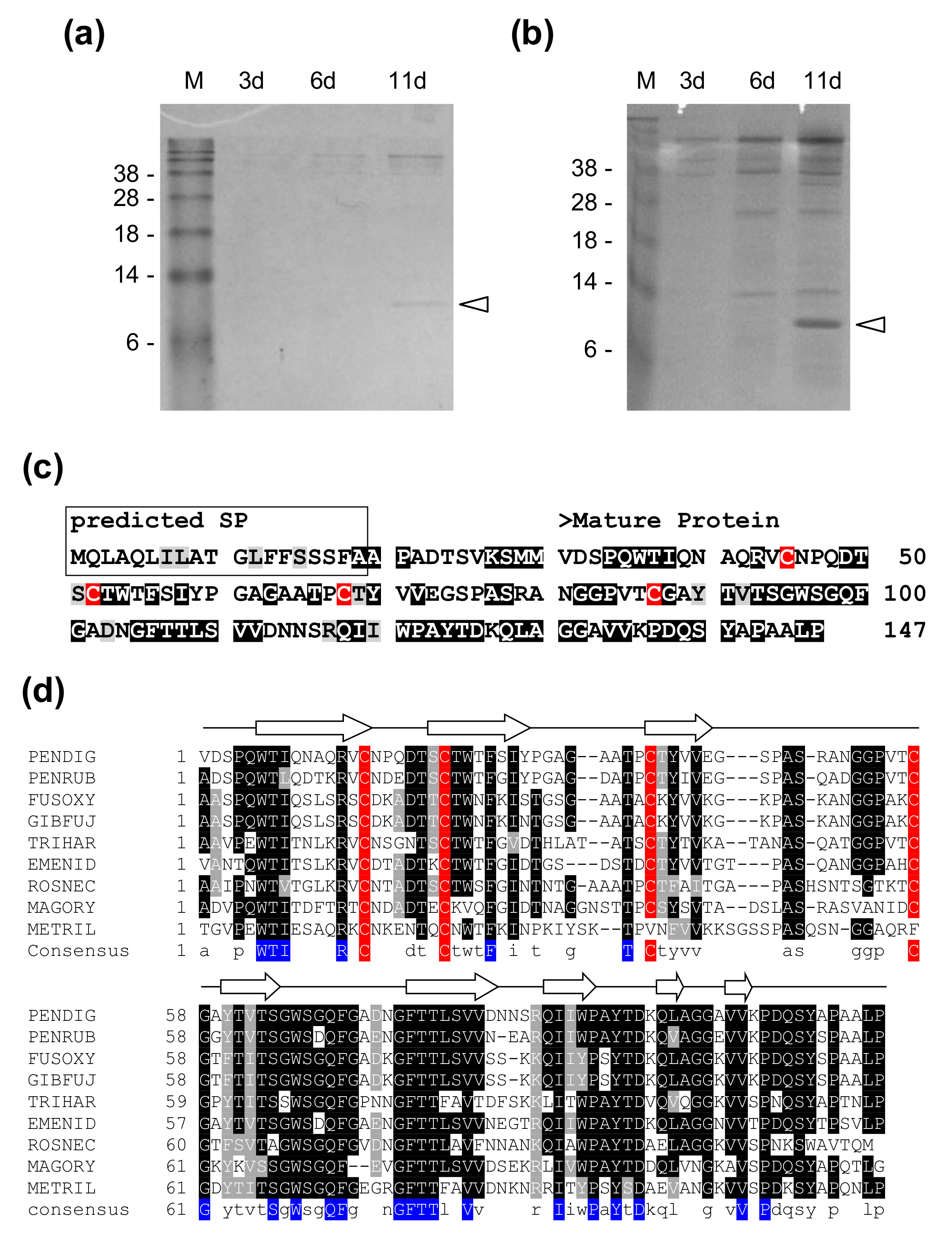 Jof 06 00203 g001 Jof 06 00203 g001