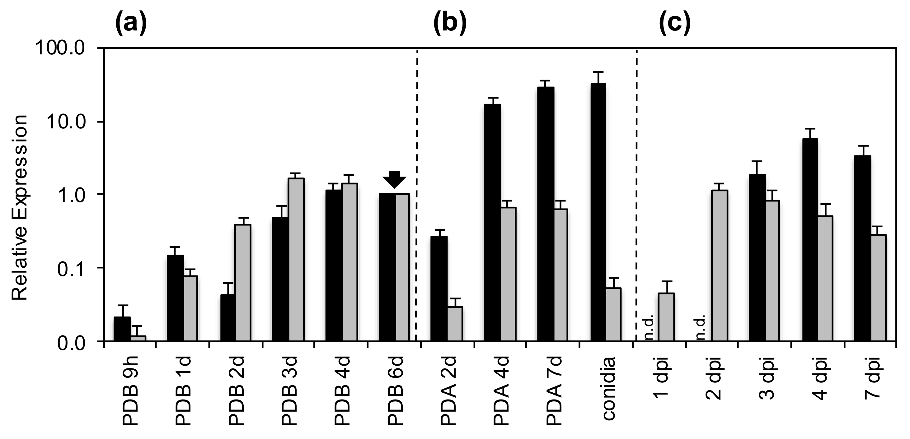 Jof 06 00203 g002 Jof 06 00203 g002