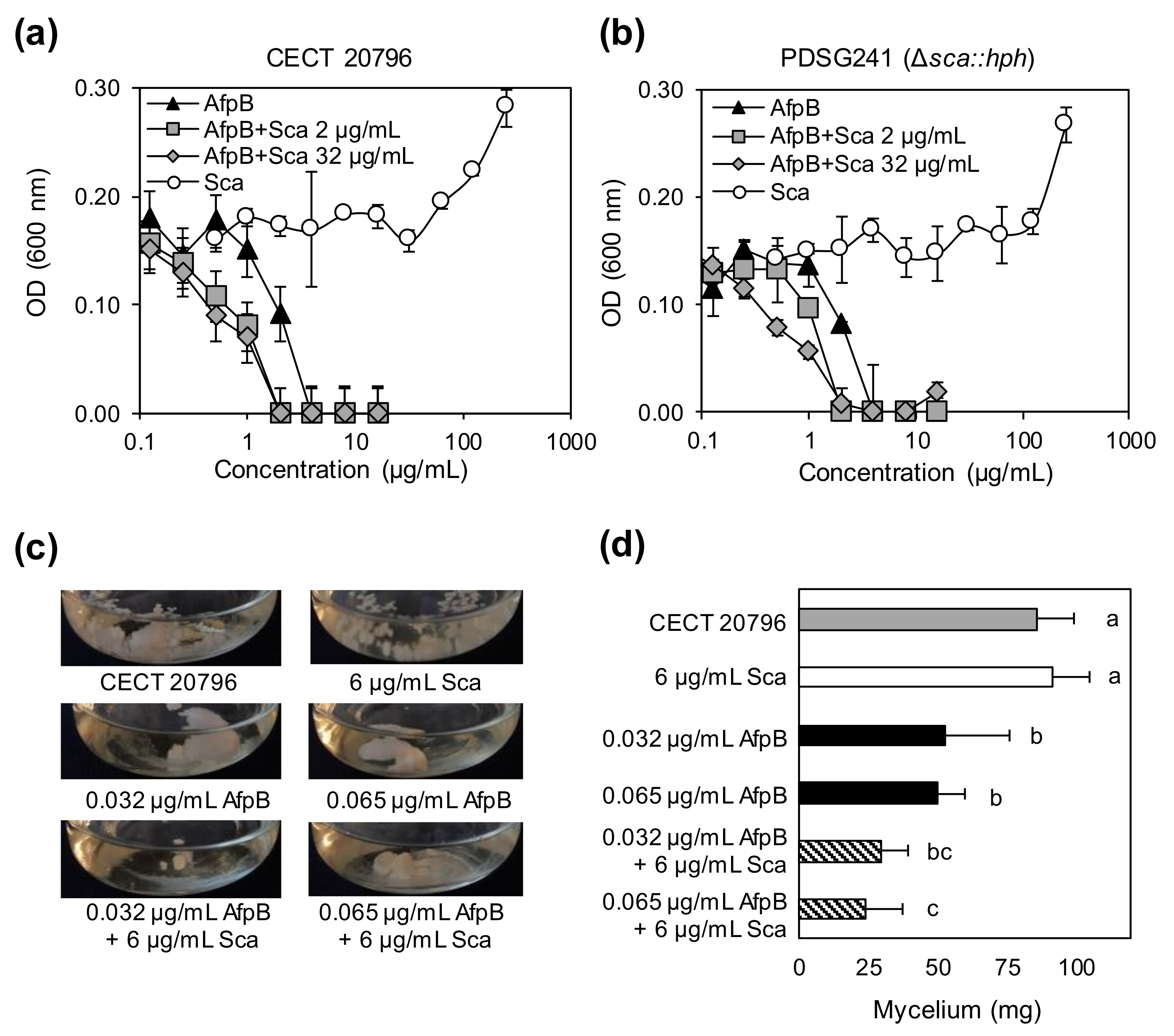 Jof 06 00203 g004 Jof 06 00203 g004