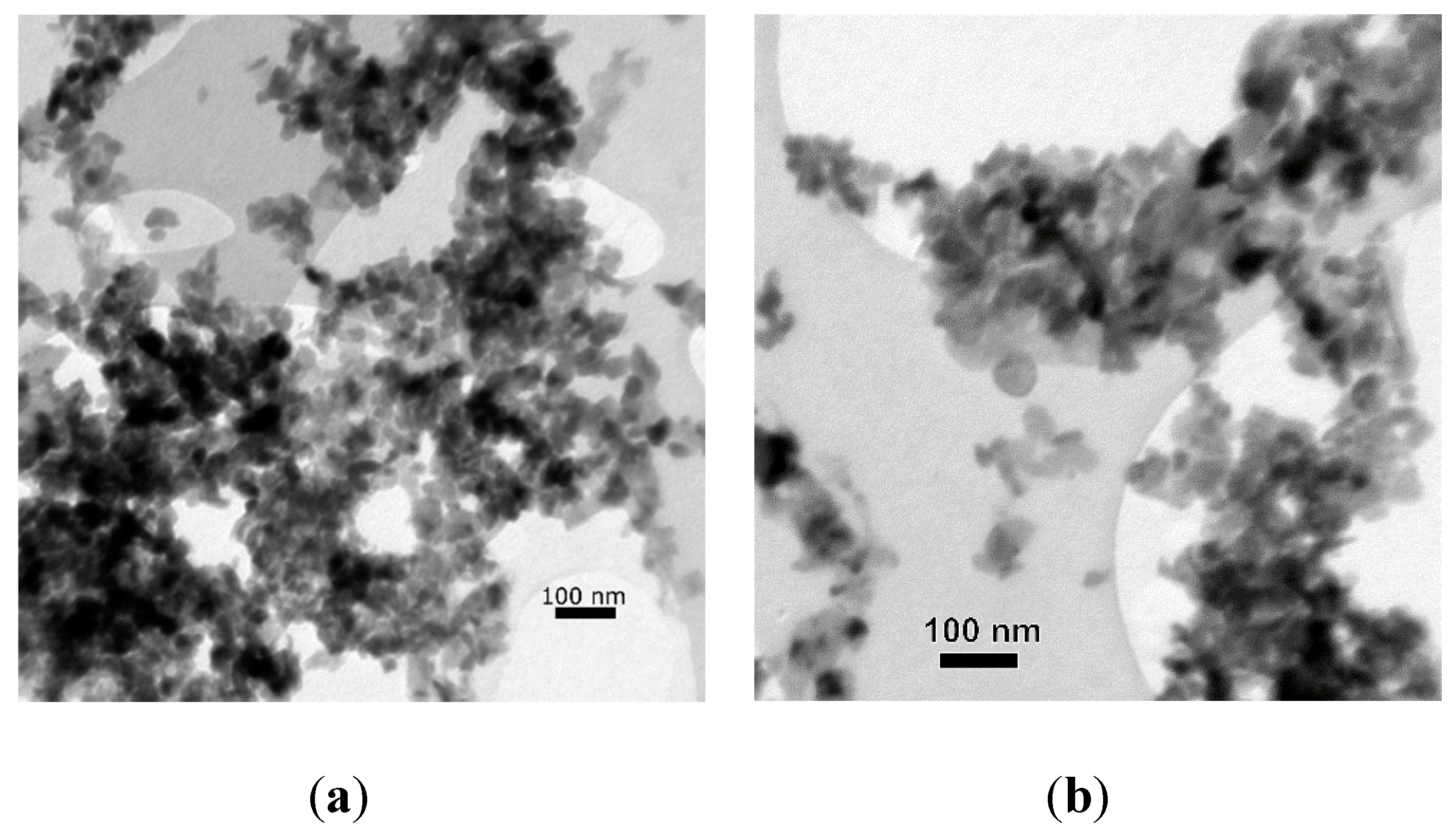 Jof 06 00210 g005 Jof 06 00210 g005