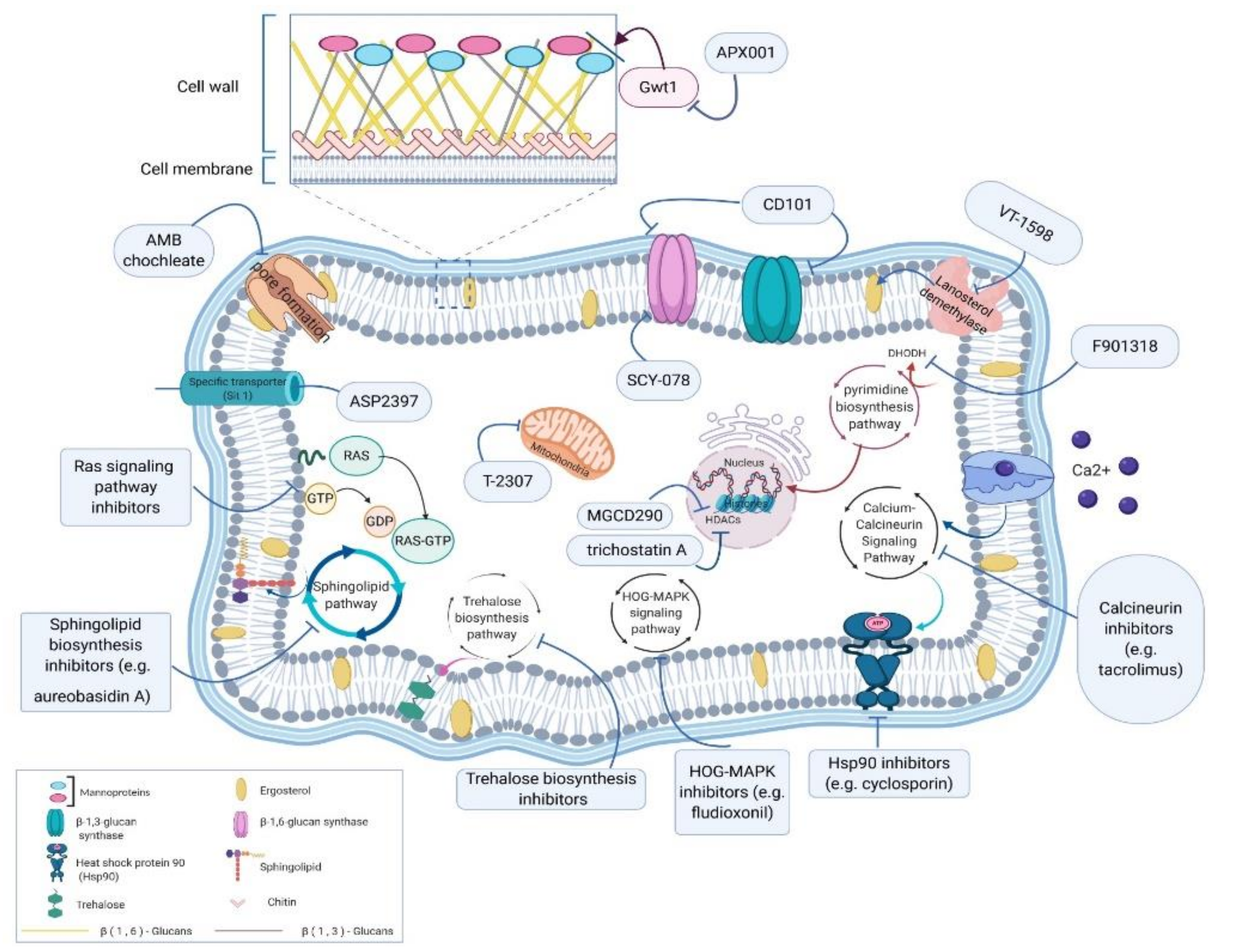Jof 06 00213 g001 Jof 06 00213 g001