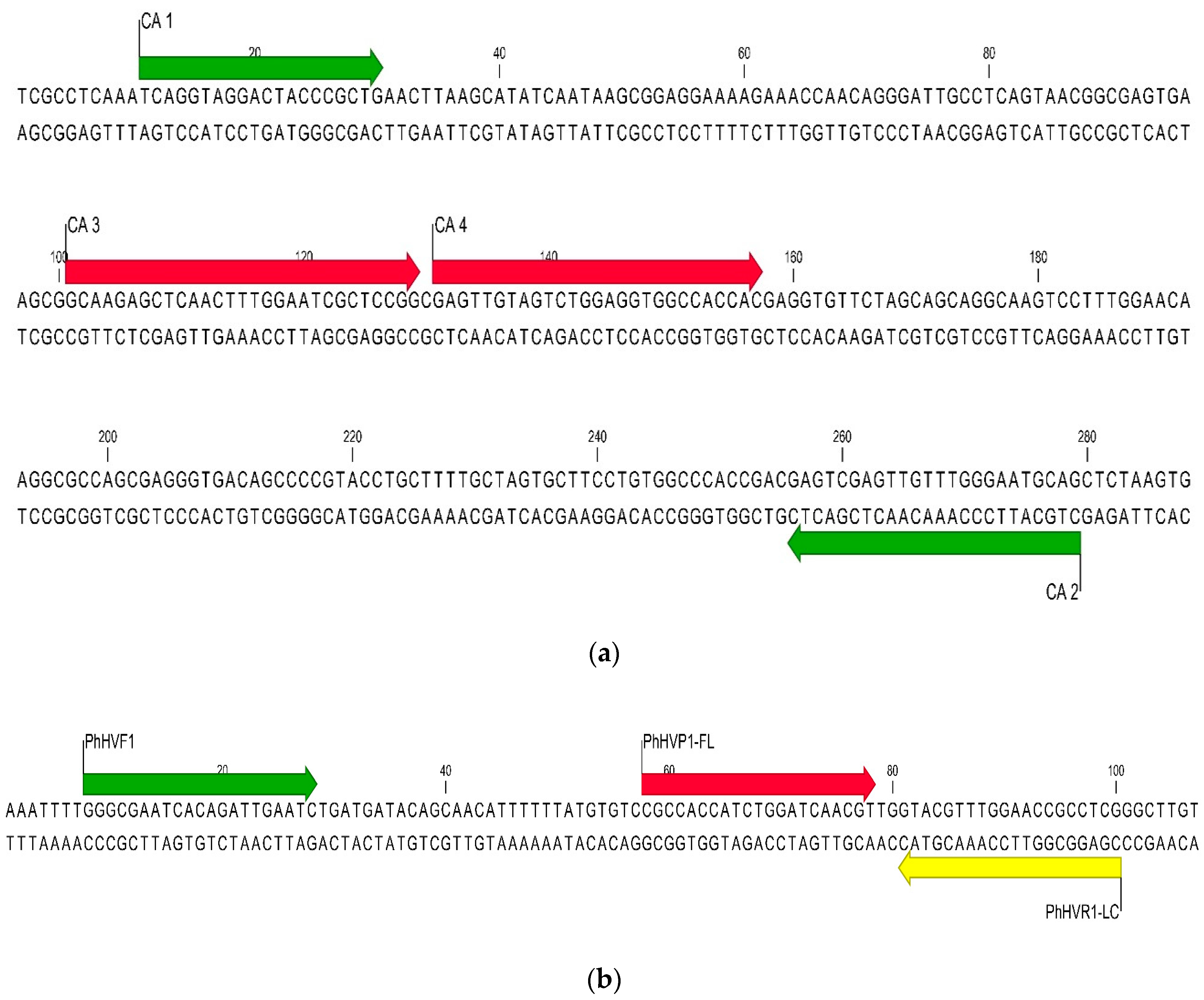 Jof 06 00224 g001 Jof 06 00224 g001
