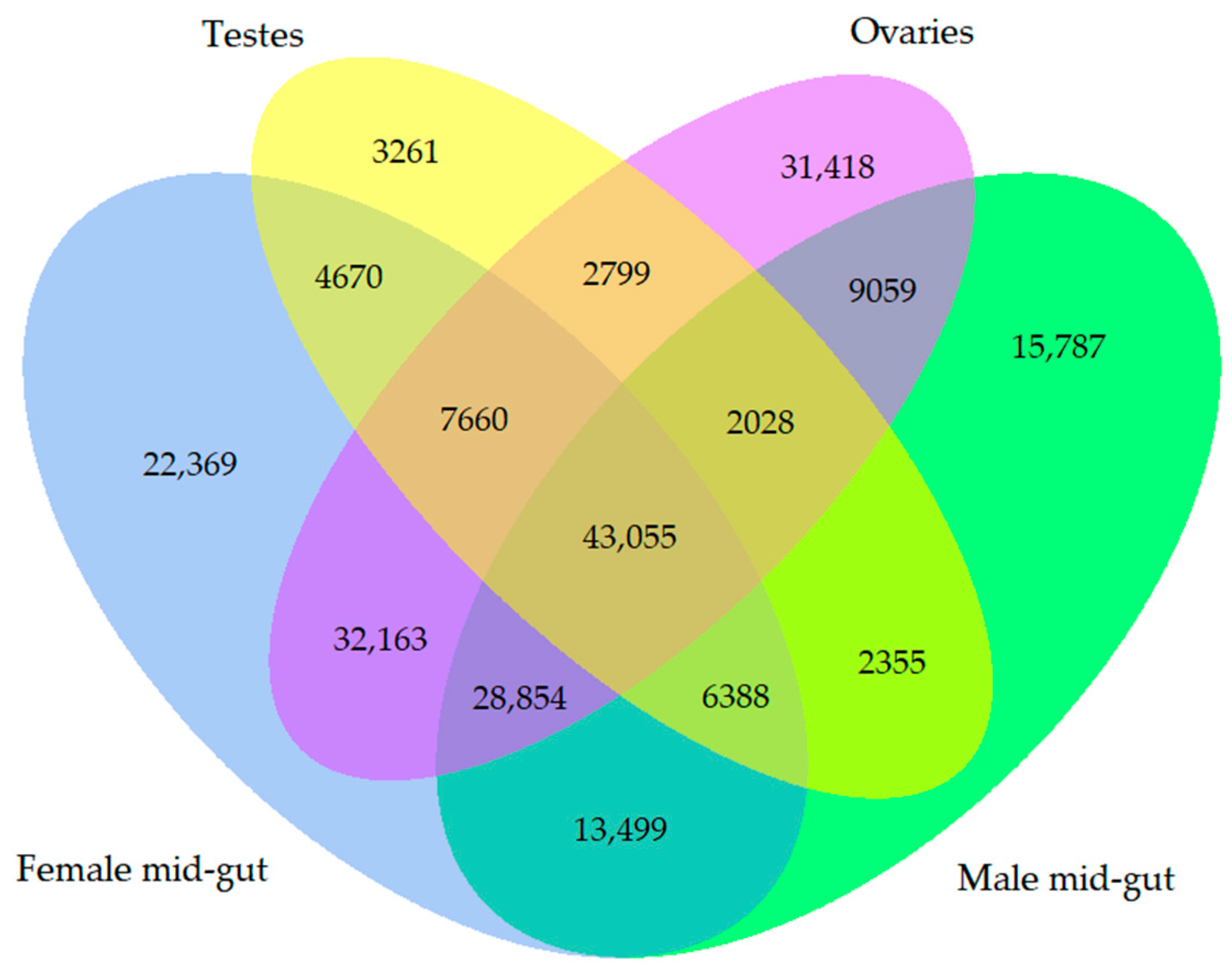 How crickets become freeze tolerant: The transcriptomic underpinnings of  acclimation in Gryllus veletis - ScienceDirect