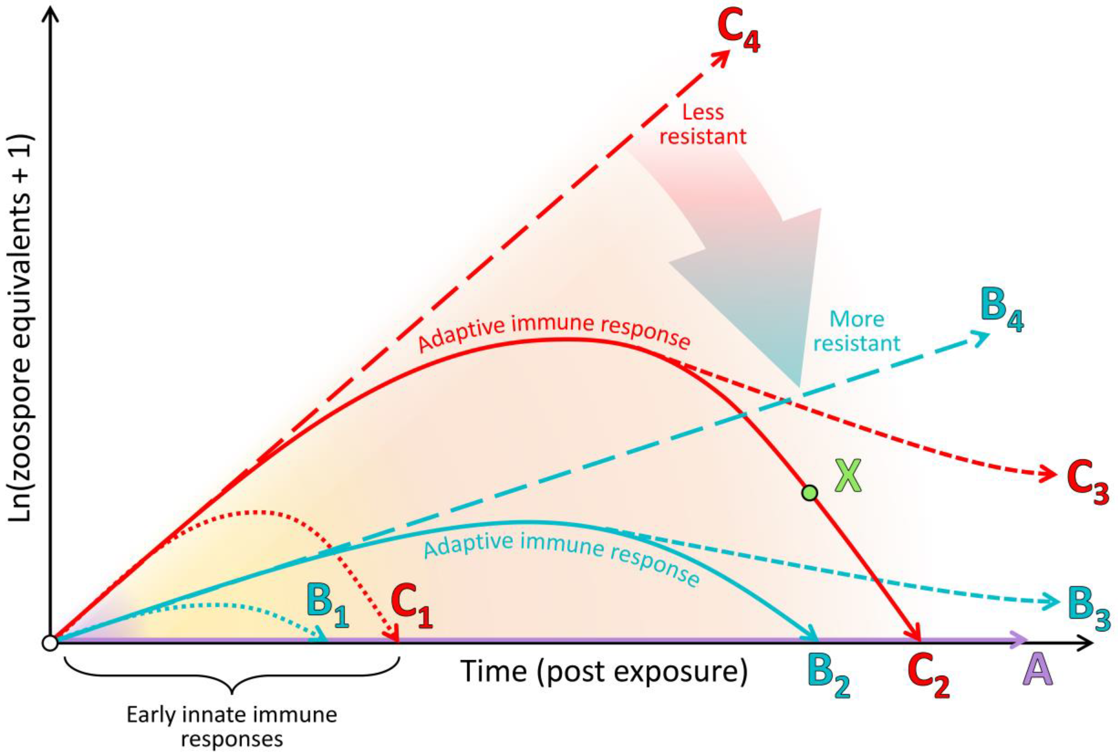 Jof 06 00234 g004 Jof 06 00234 g004