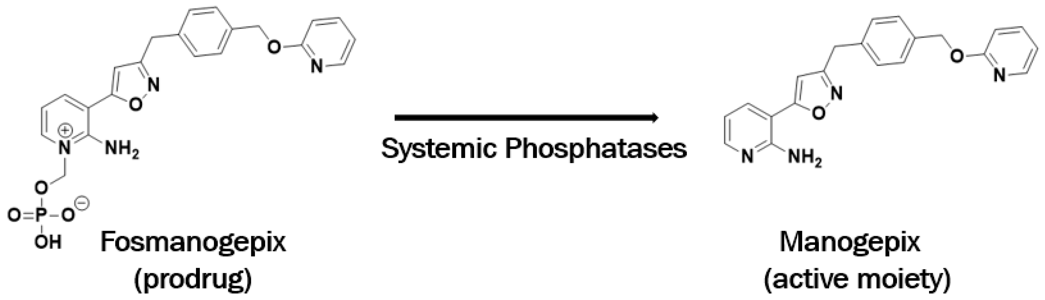 Jof 06 00239 g001 Jof 06 00239 g001