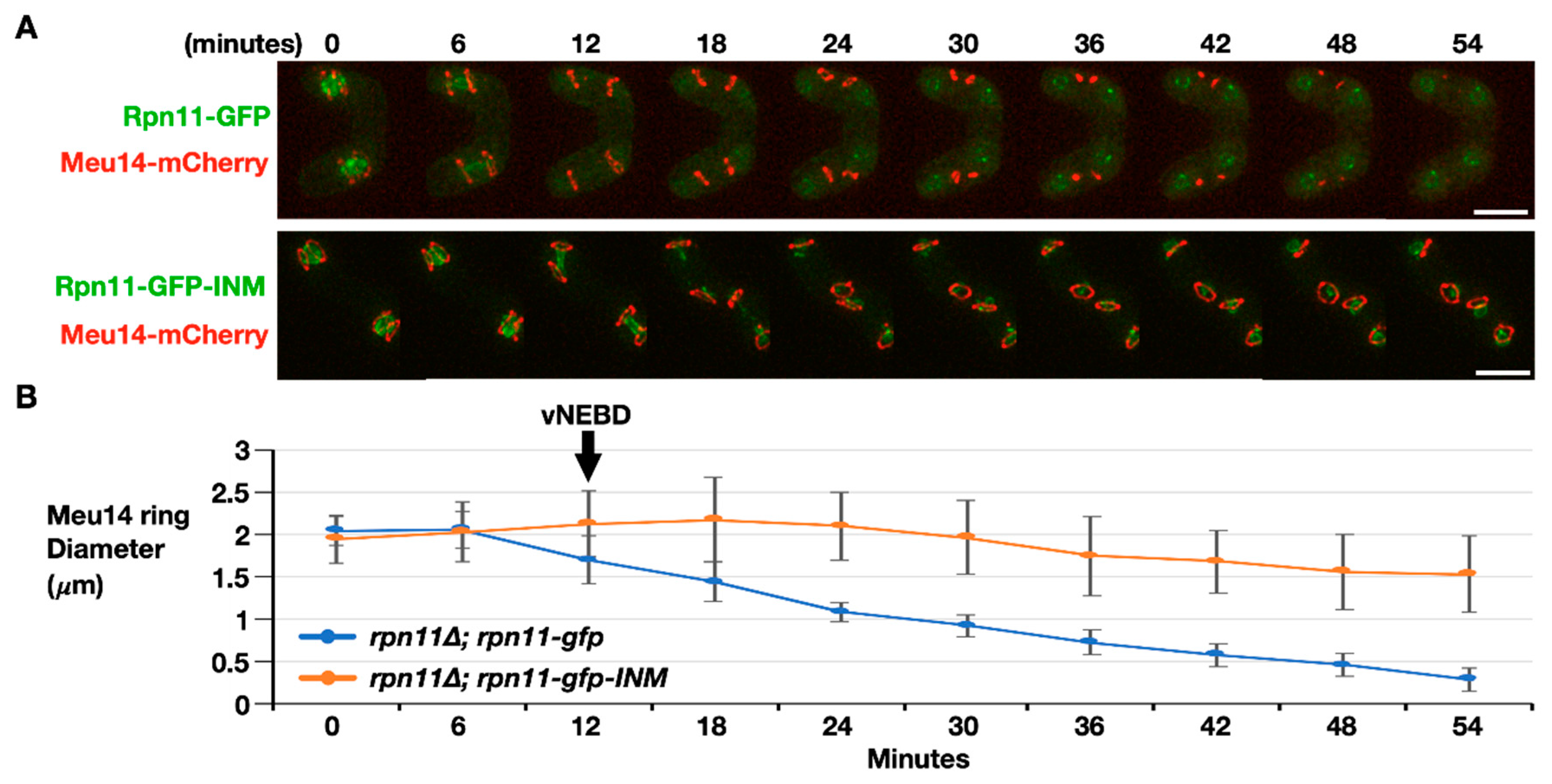 Jof 06 00242 g005 Jof 06 00242 g005