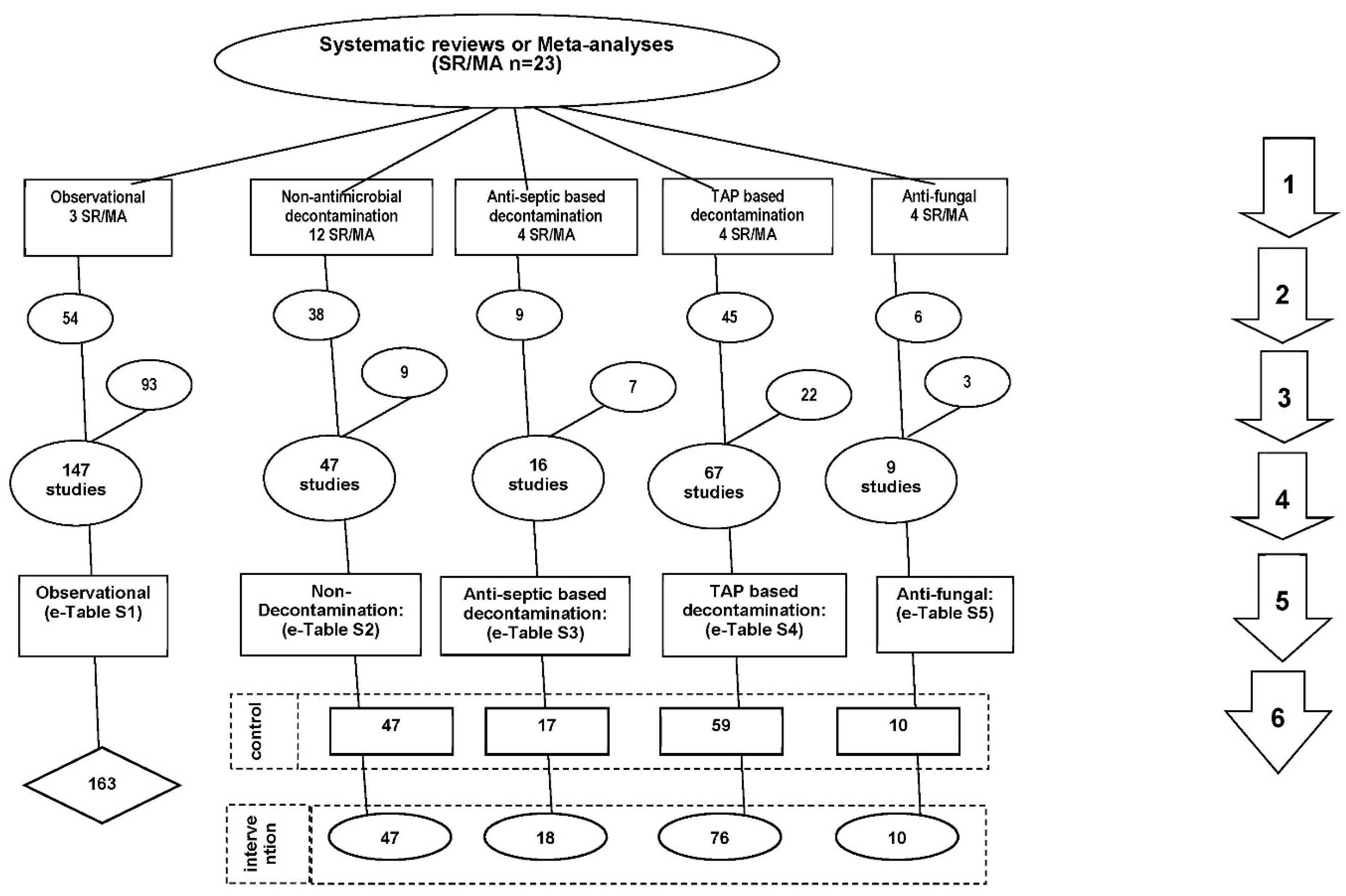 Jof 06 00252 g001 Jof 06 00252 g001