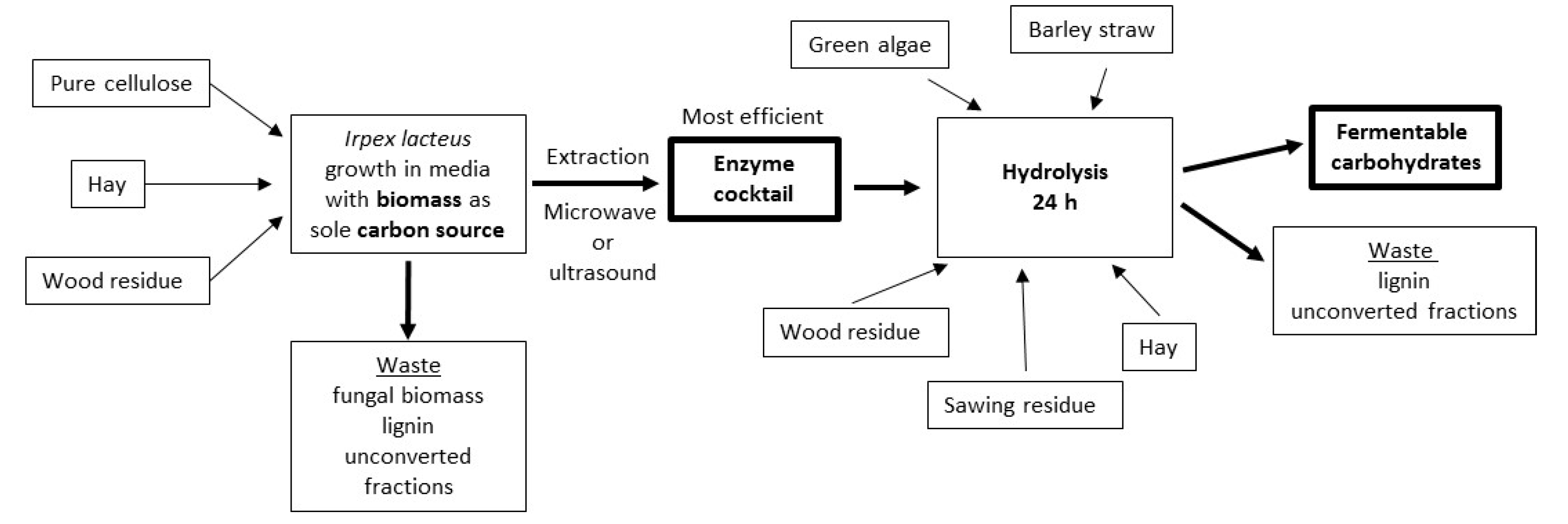 Jof 06 00256 g001 Jof 06 00256 g001