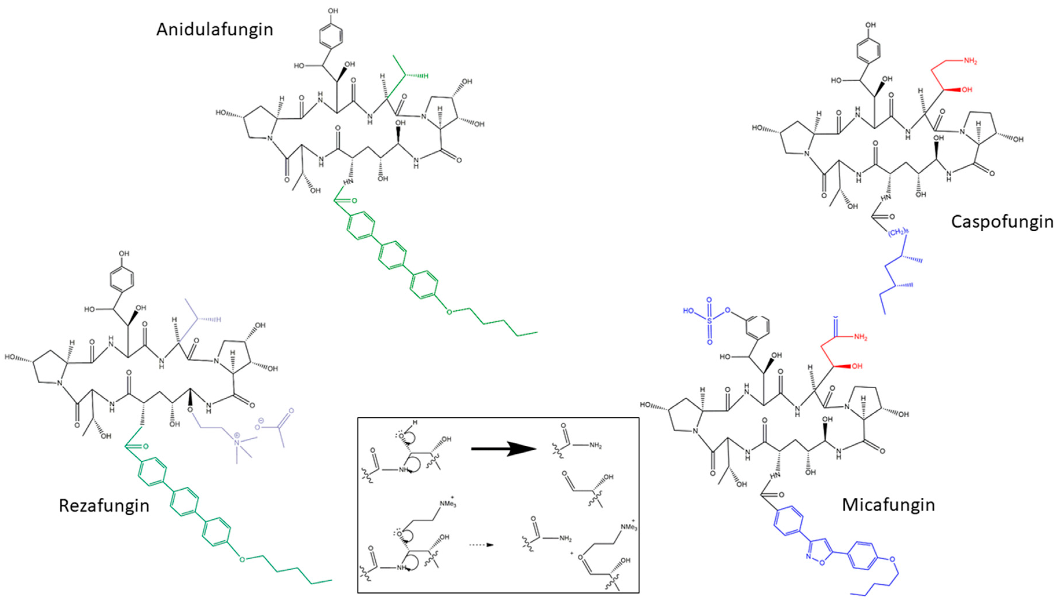Jof 06 00262 g001 Jof 06 00262 g001