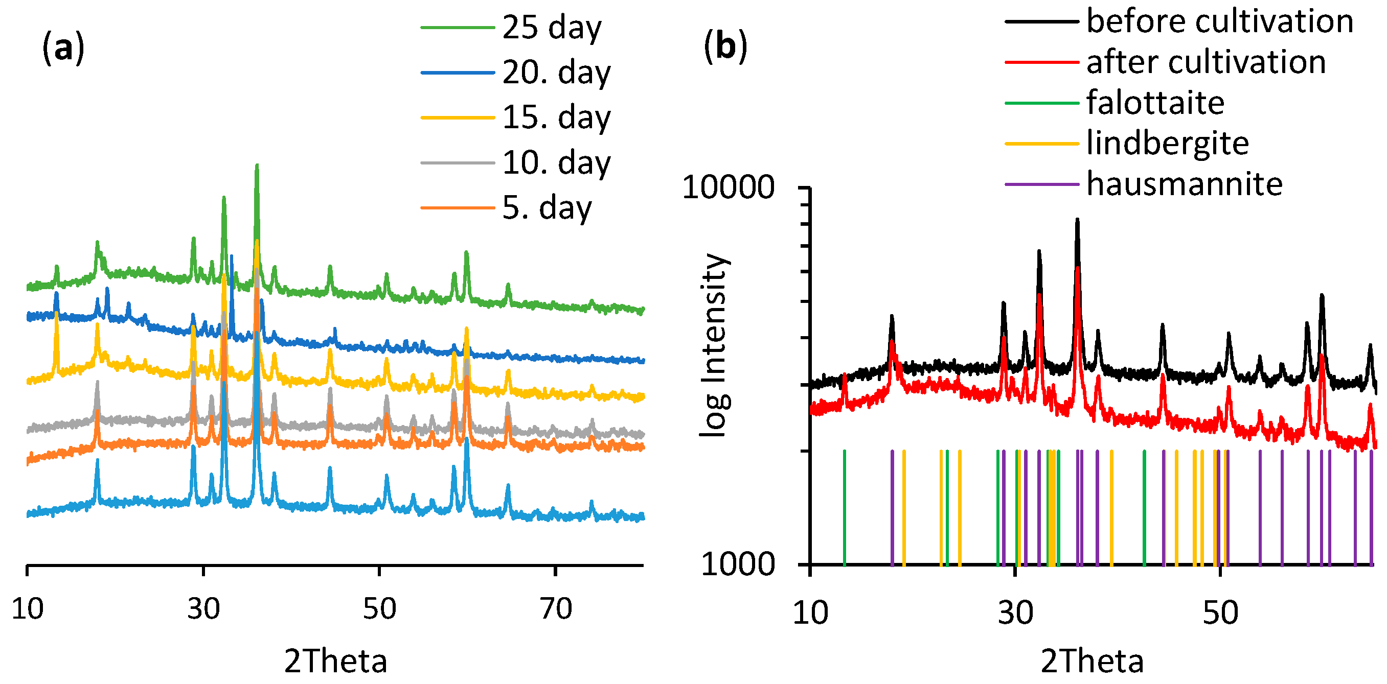 Jof 06 00270 g006 Jof 06 00270 g006