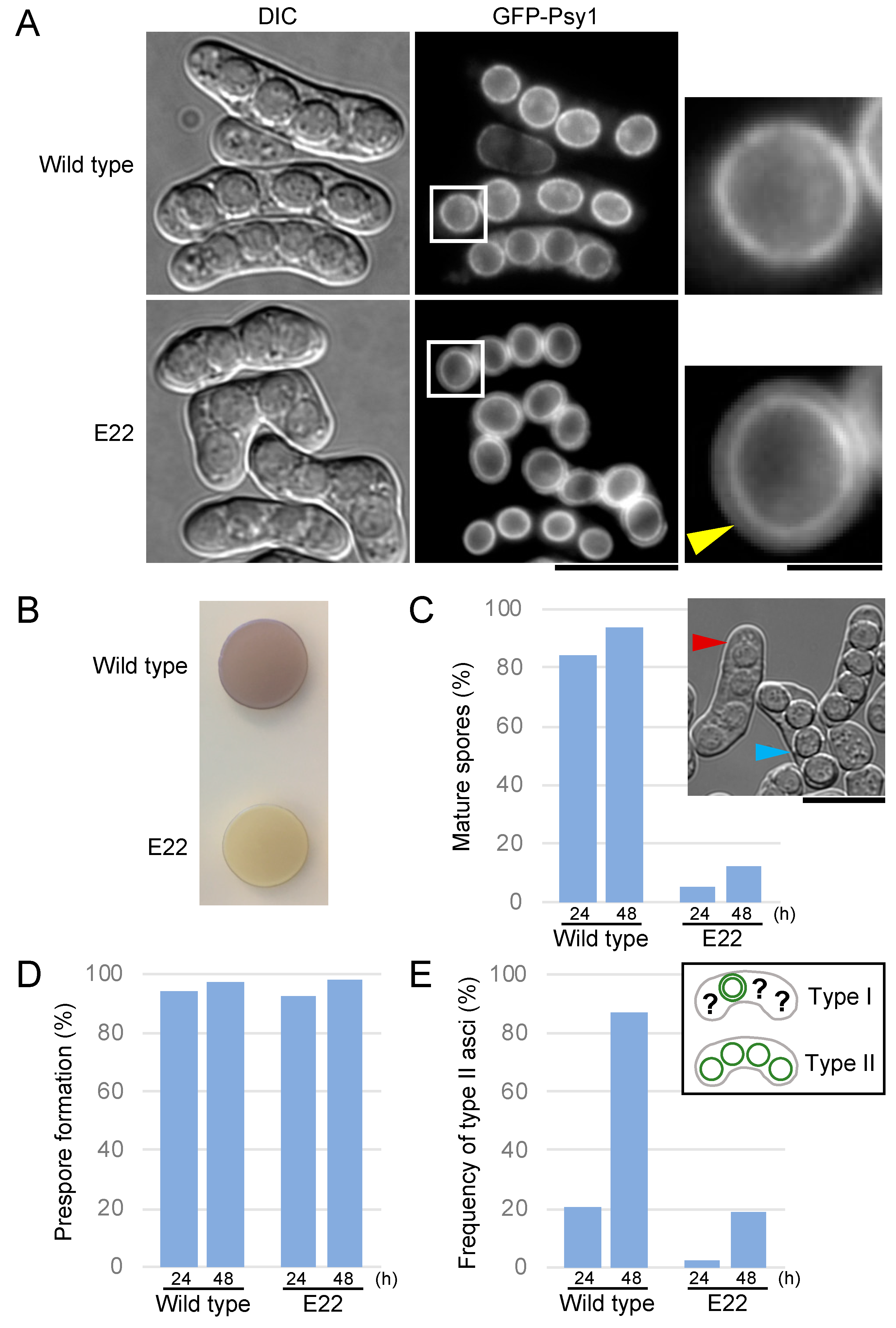 Jof 06 00284 g001 Jof 06 00284 g001