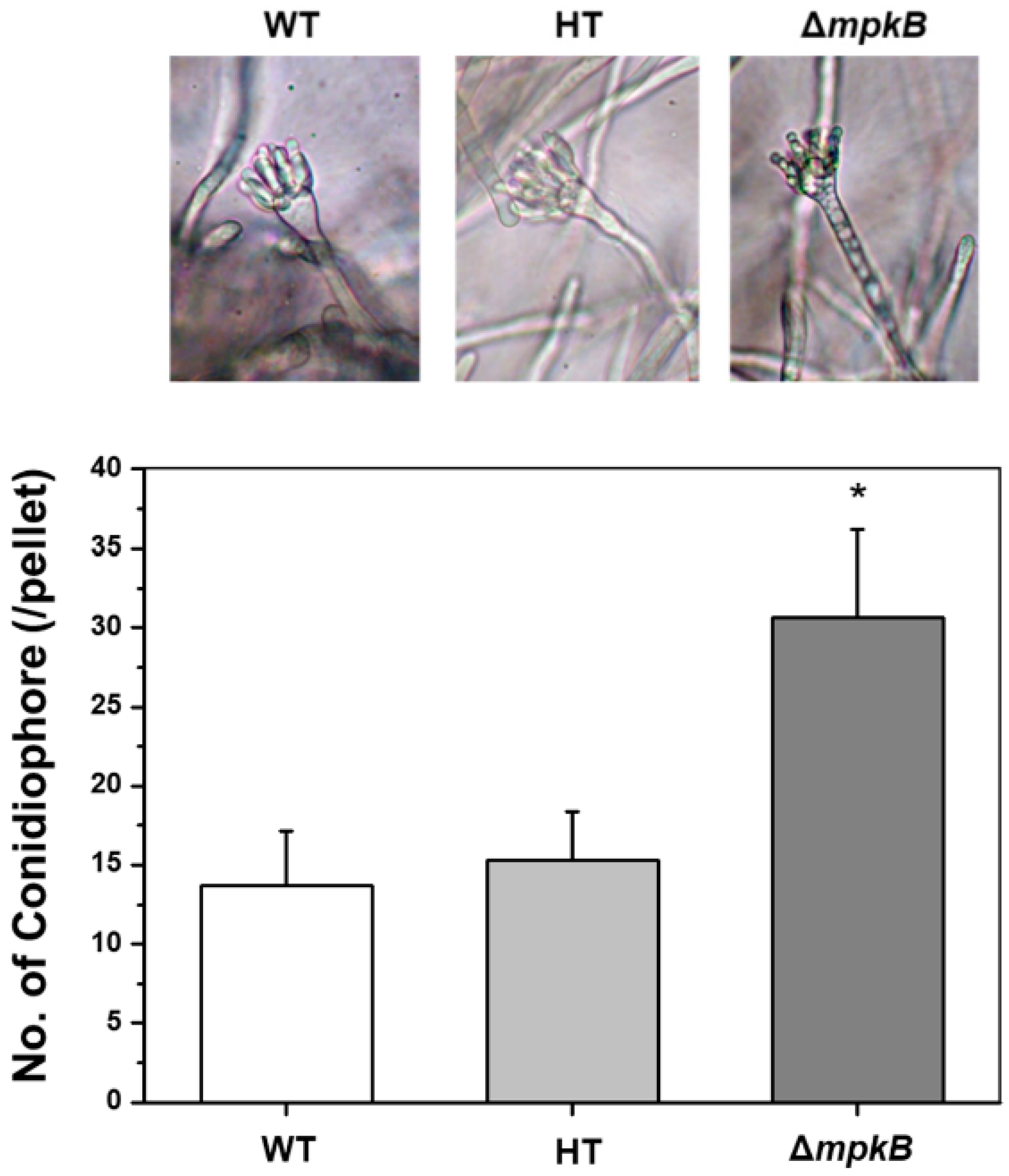 Jof 06 00289 g005 Jof 06 00289 g005