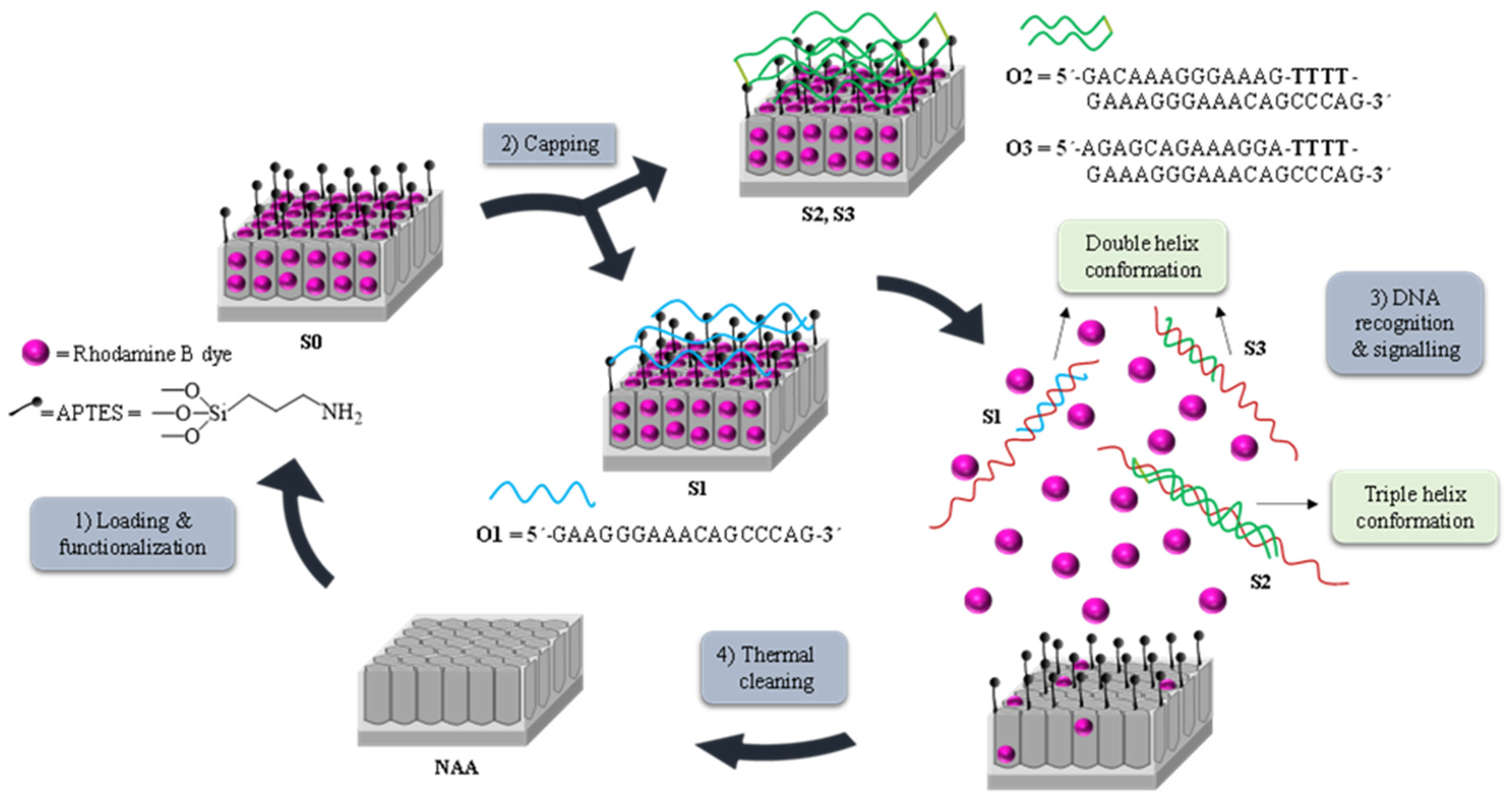 Jof 06 00292 g001 Jof 06 00292 g001