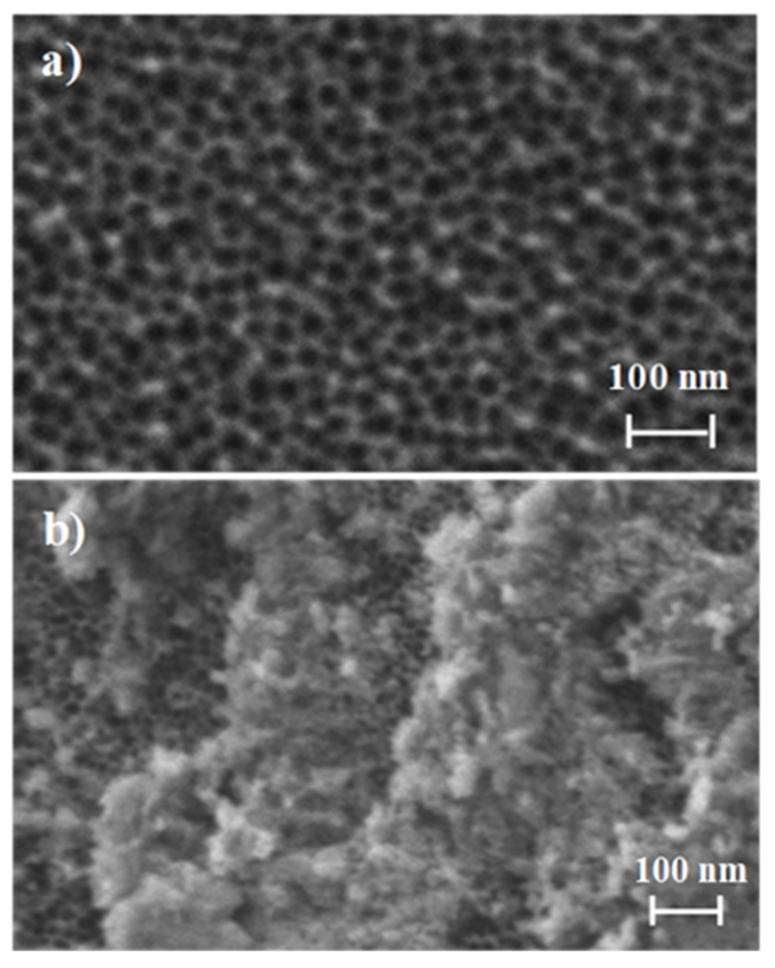 Jof 06 00292 g002 Jof 06 00292 g002