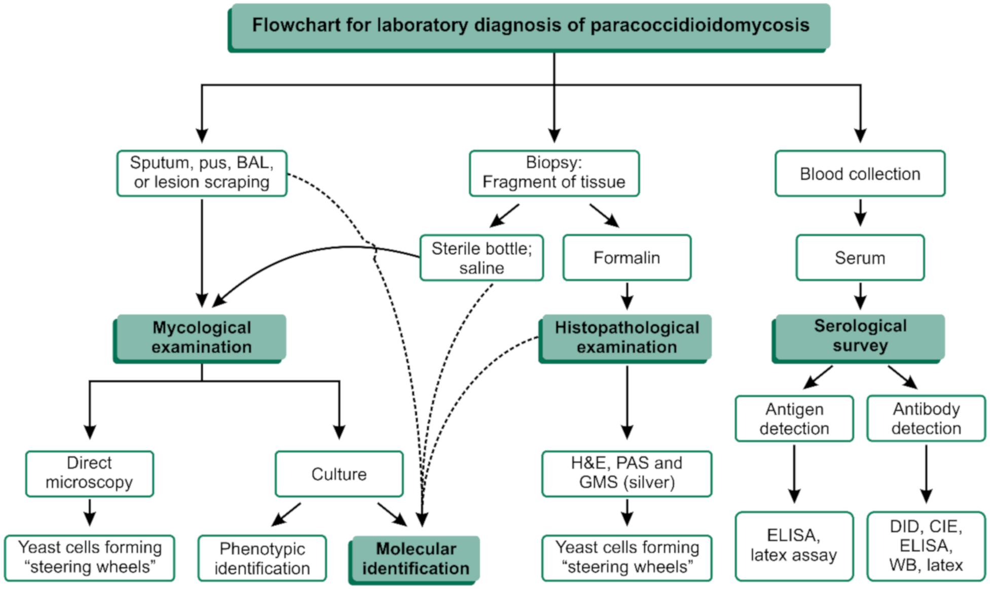 Jof 06 00293 g003 Jof 06 00293 g003