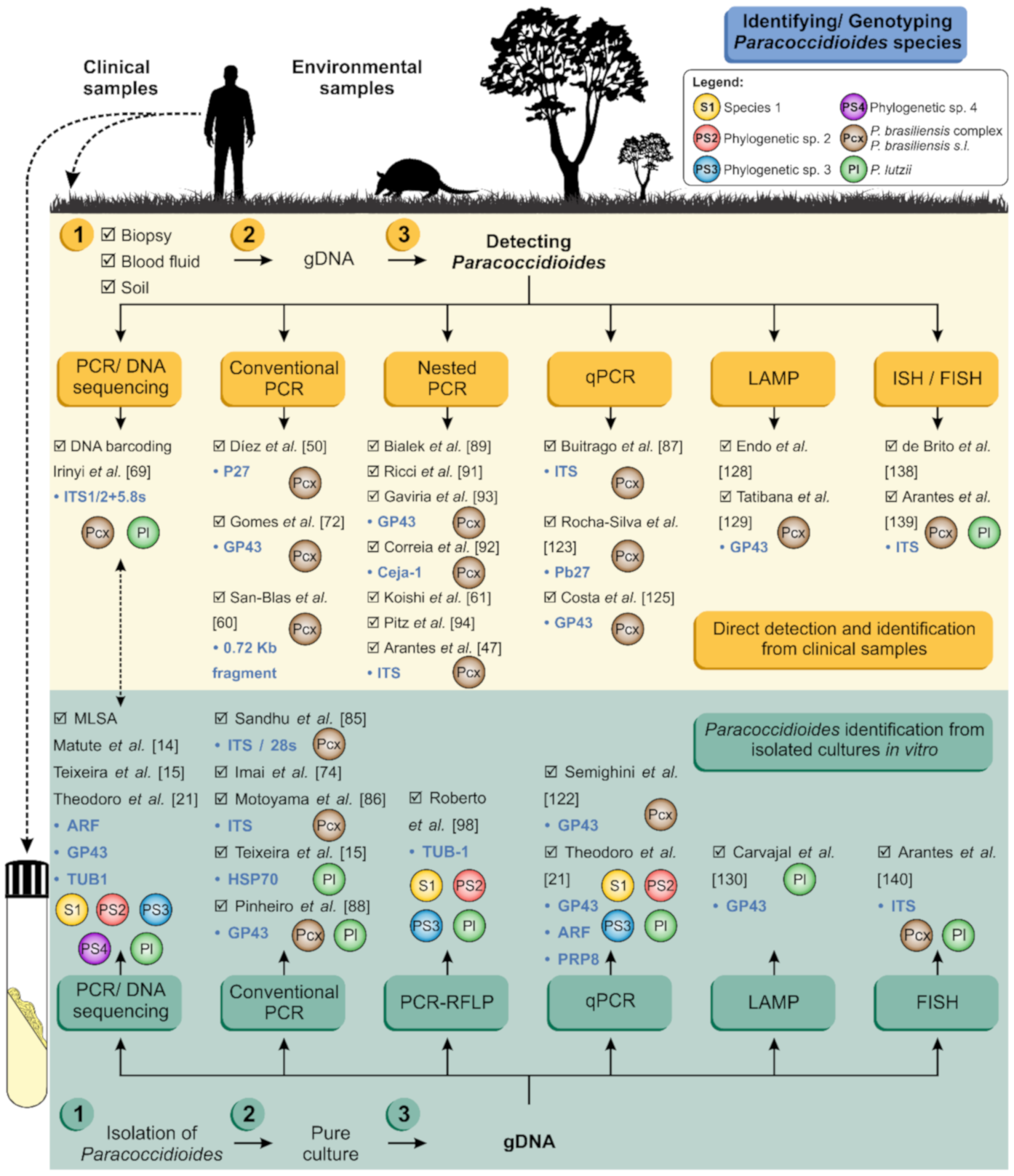 Jof 06 00293 g006 Jof 06 00293 g006