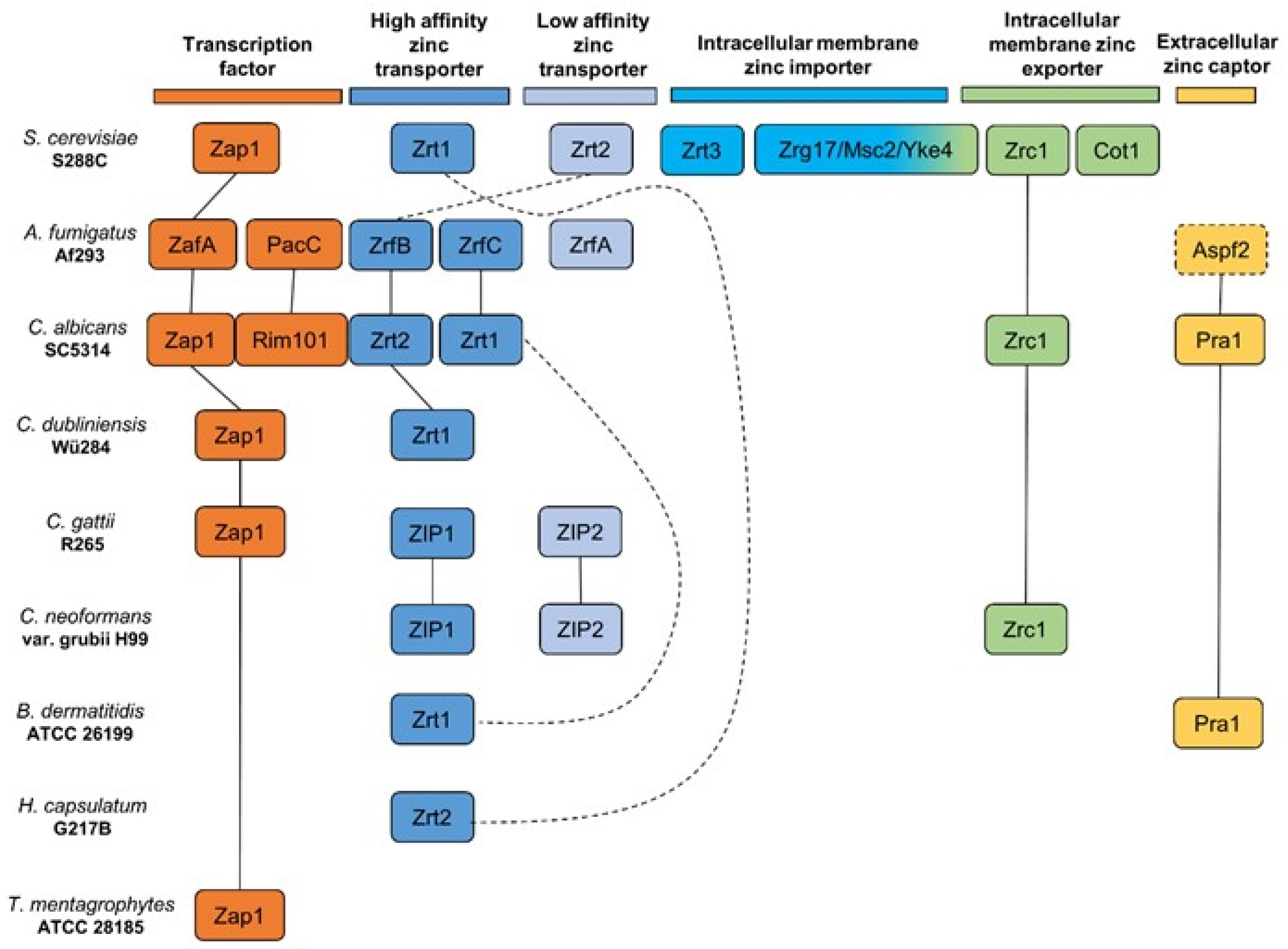 Jof 06 00305 g004 Jof 06 00305 g004