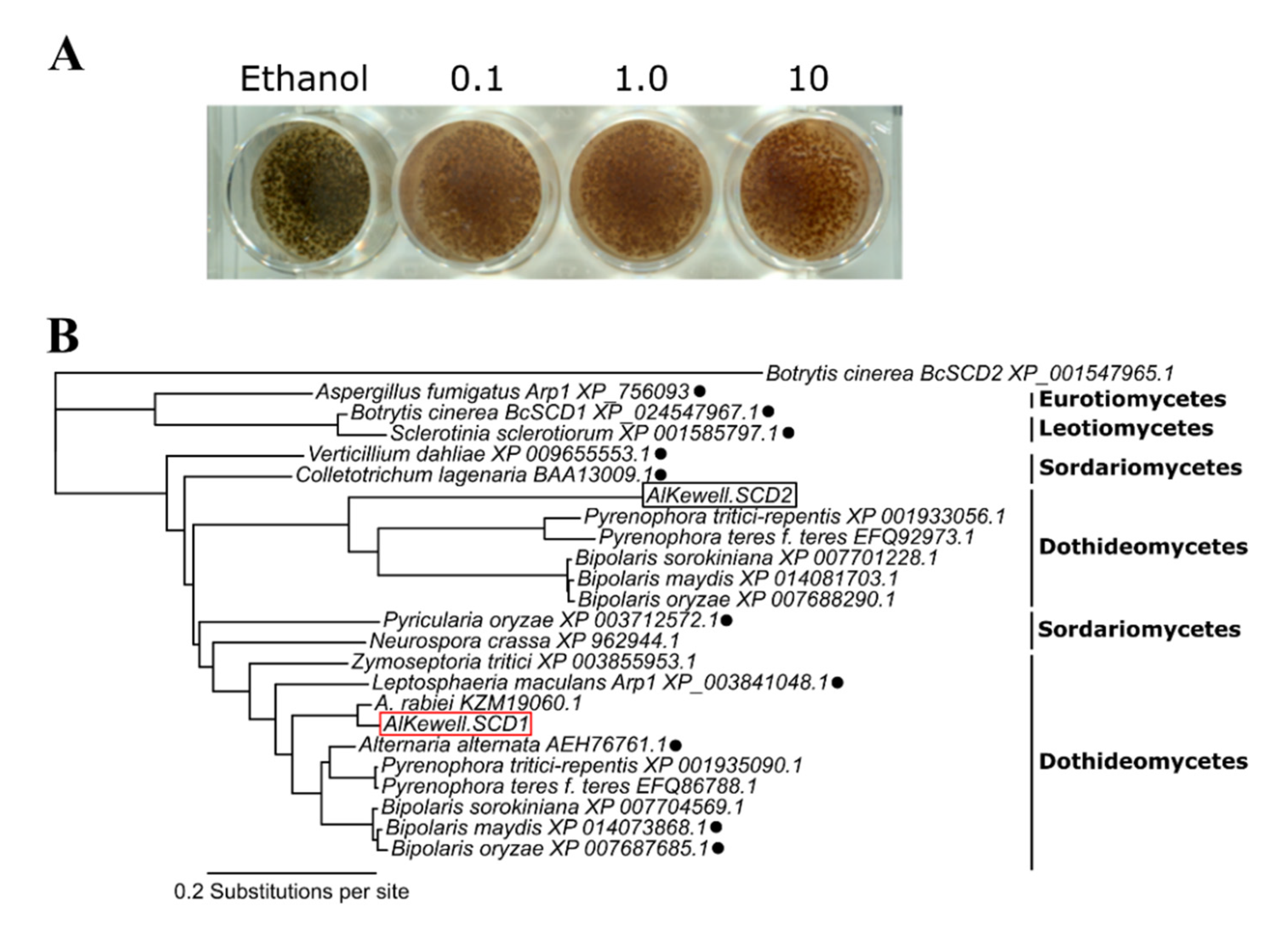 Jof 06 00314 g001 Jof 06 00314 g001