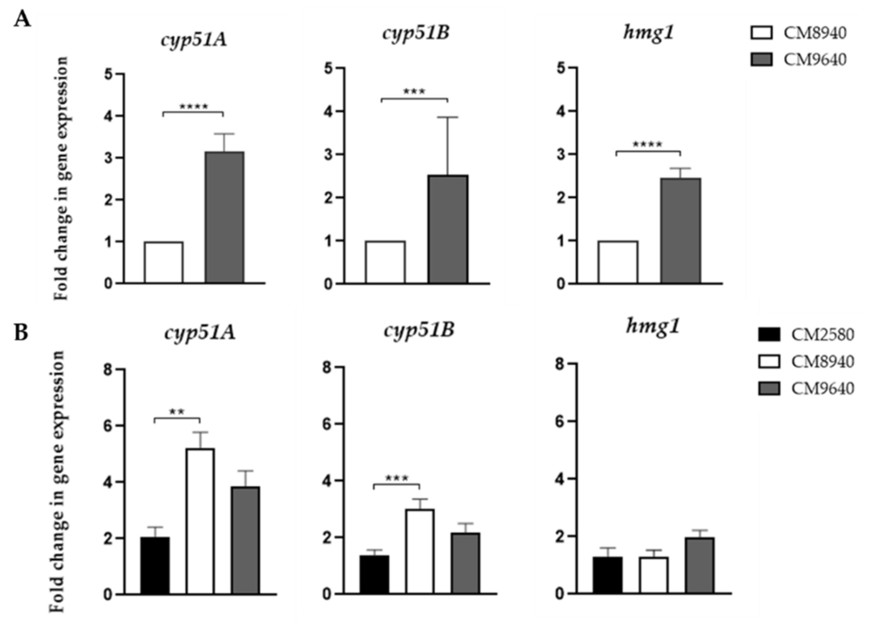 JoF Free Full-Text A Cyp51B Mutation Contributes to Azole Resistance in  Aspergillus fumigatus