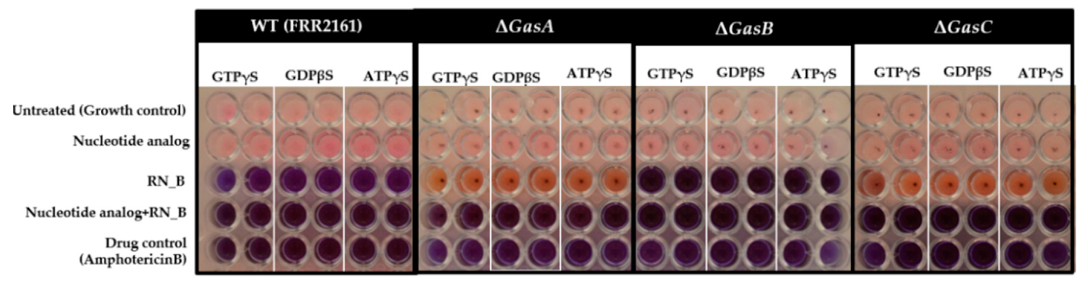 Jof 06 00333 g003 Jof 06 00333 g003