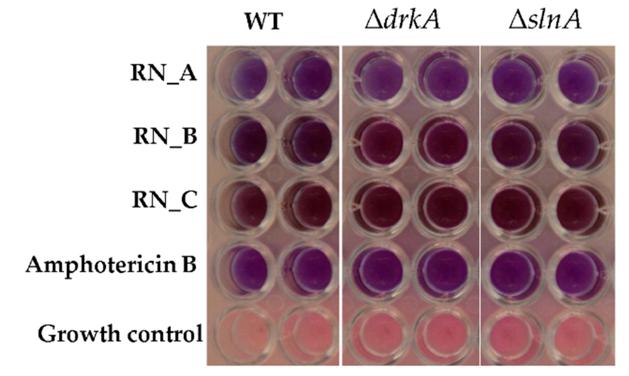 Jof 06 00333 g005 Jof 06 00333 g005
