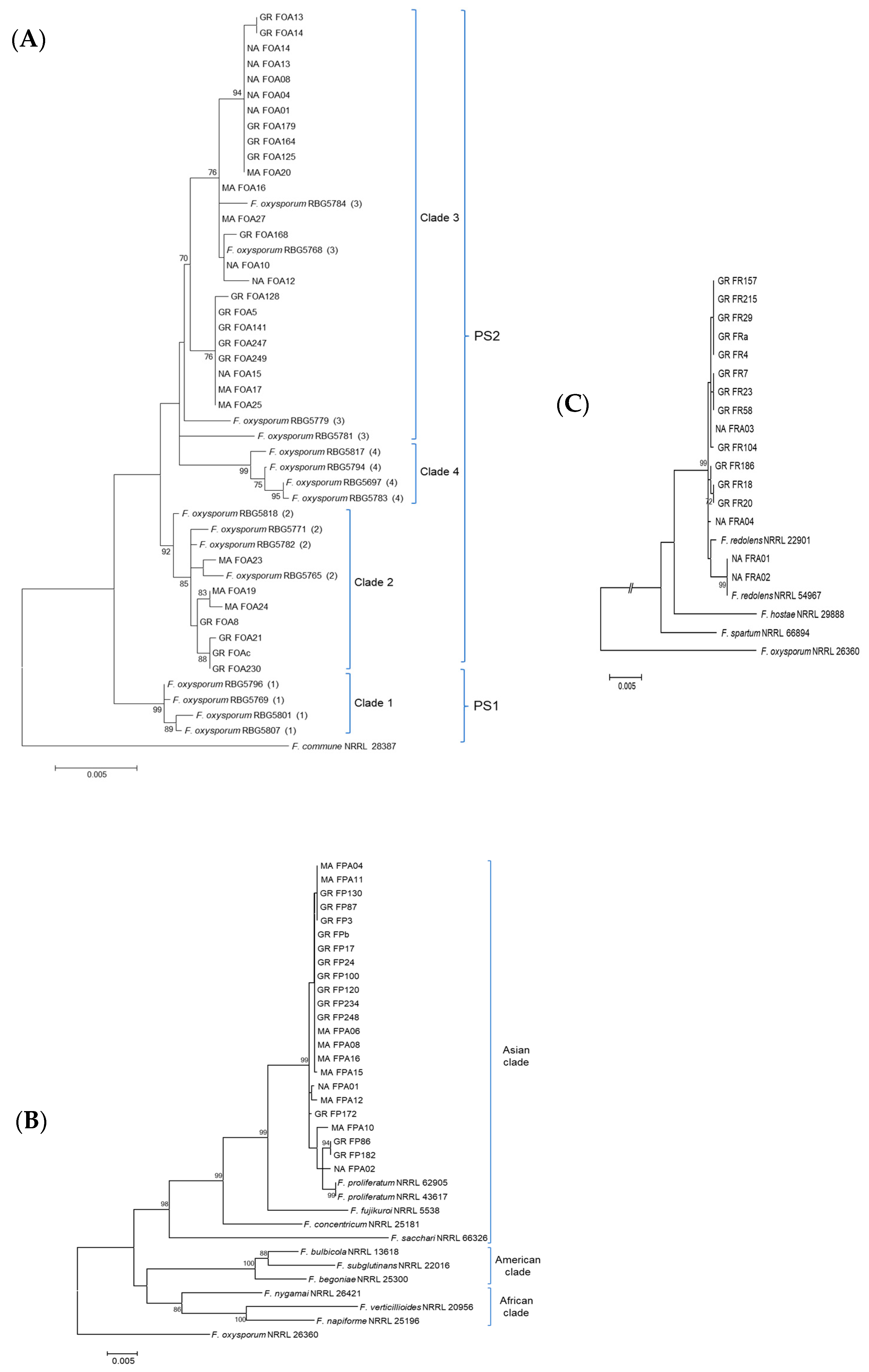 Jof 06 00336 g009 Jof 06 00336 g009