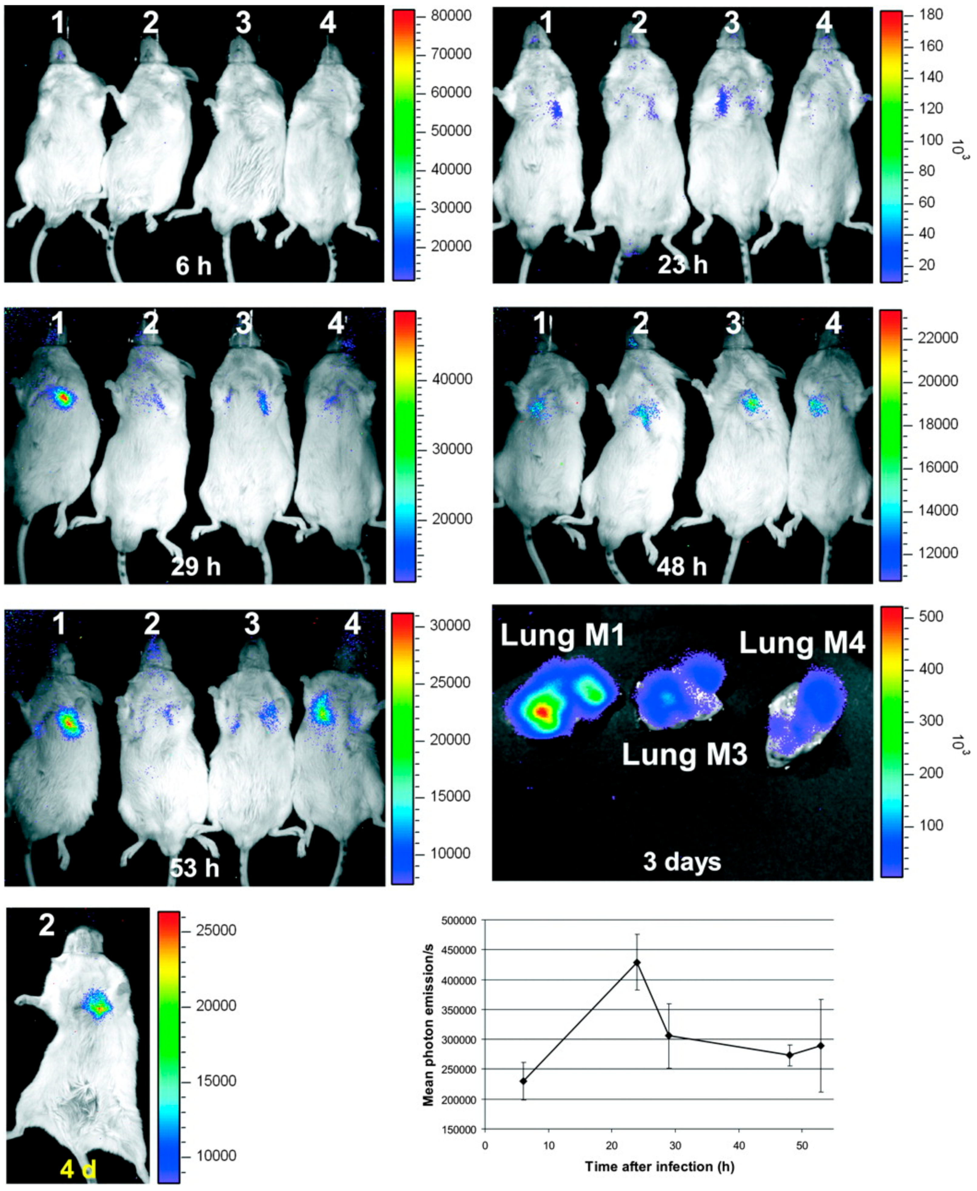 Jof 06 00338 g001 Jof 06 00338 g001