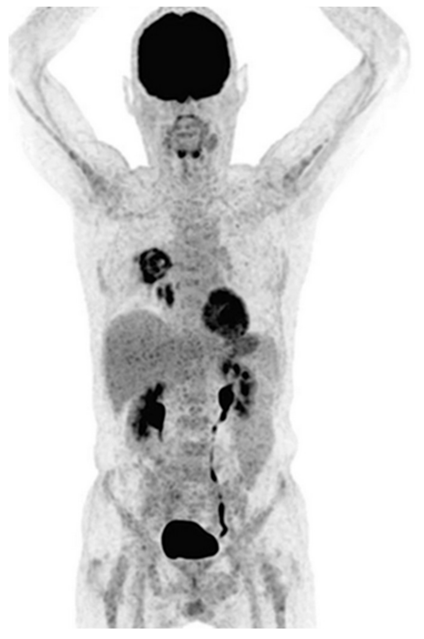 Jof 06 00338 g003 Jof 06 00338 g003