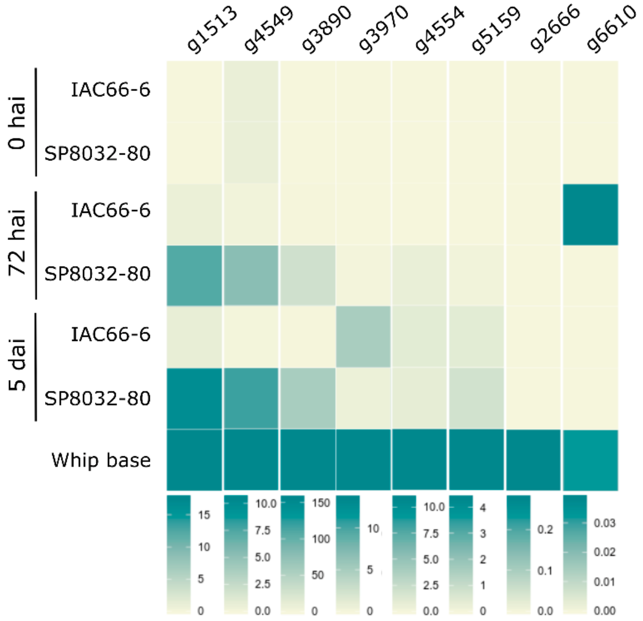 Jof 06 00339 g001 Jof 06 00339 g001