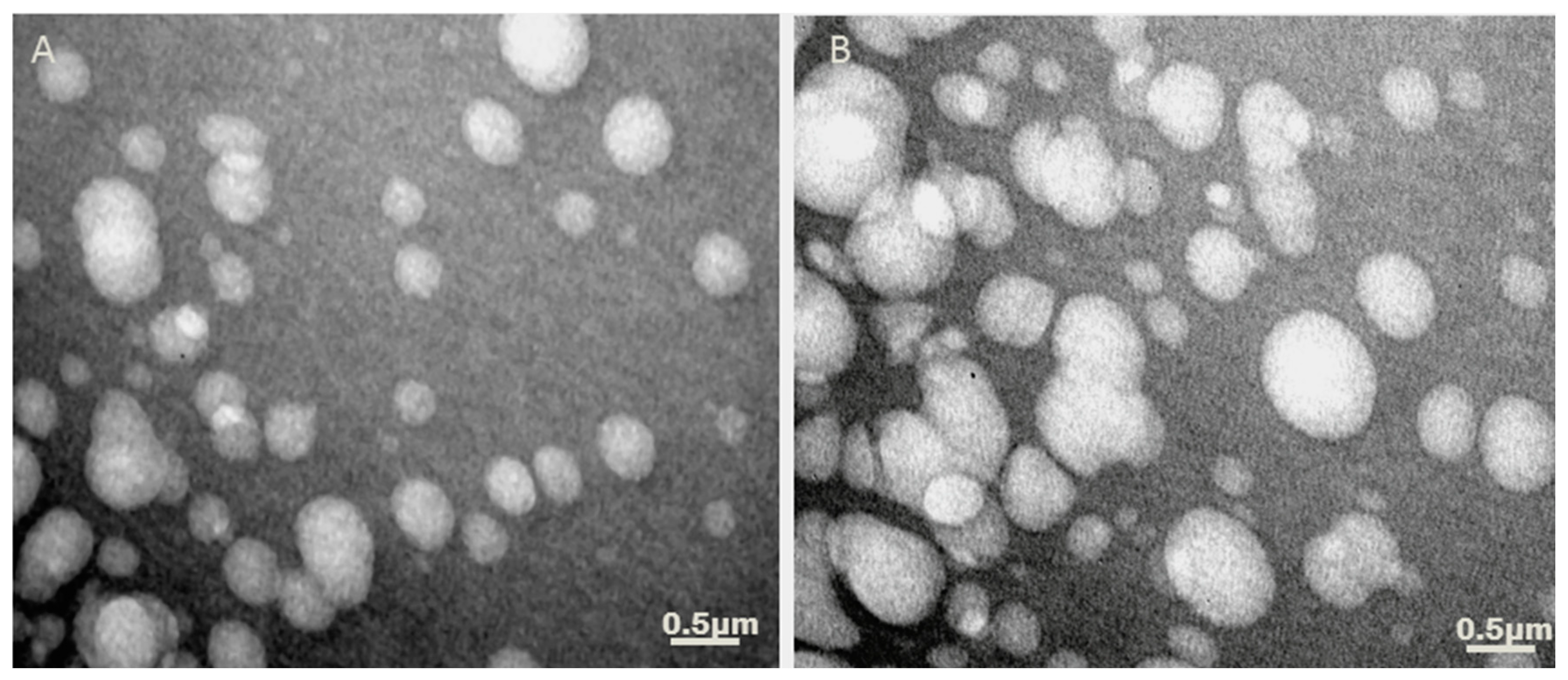Jof Free Full Text Therapeutic Vaccination With Cationic Liposomes Formulated With Dioctadecyldimethylammonium And Trehalose Dibehenate Caf01 And Peptide P10 Is Protective In Mice Infected With Paracoccidioides Brasiliensis Html