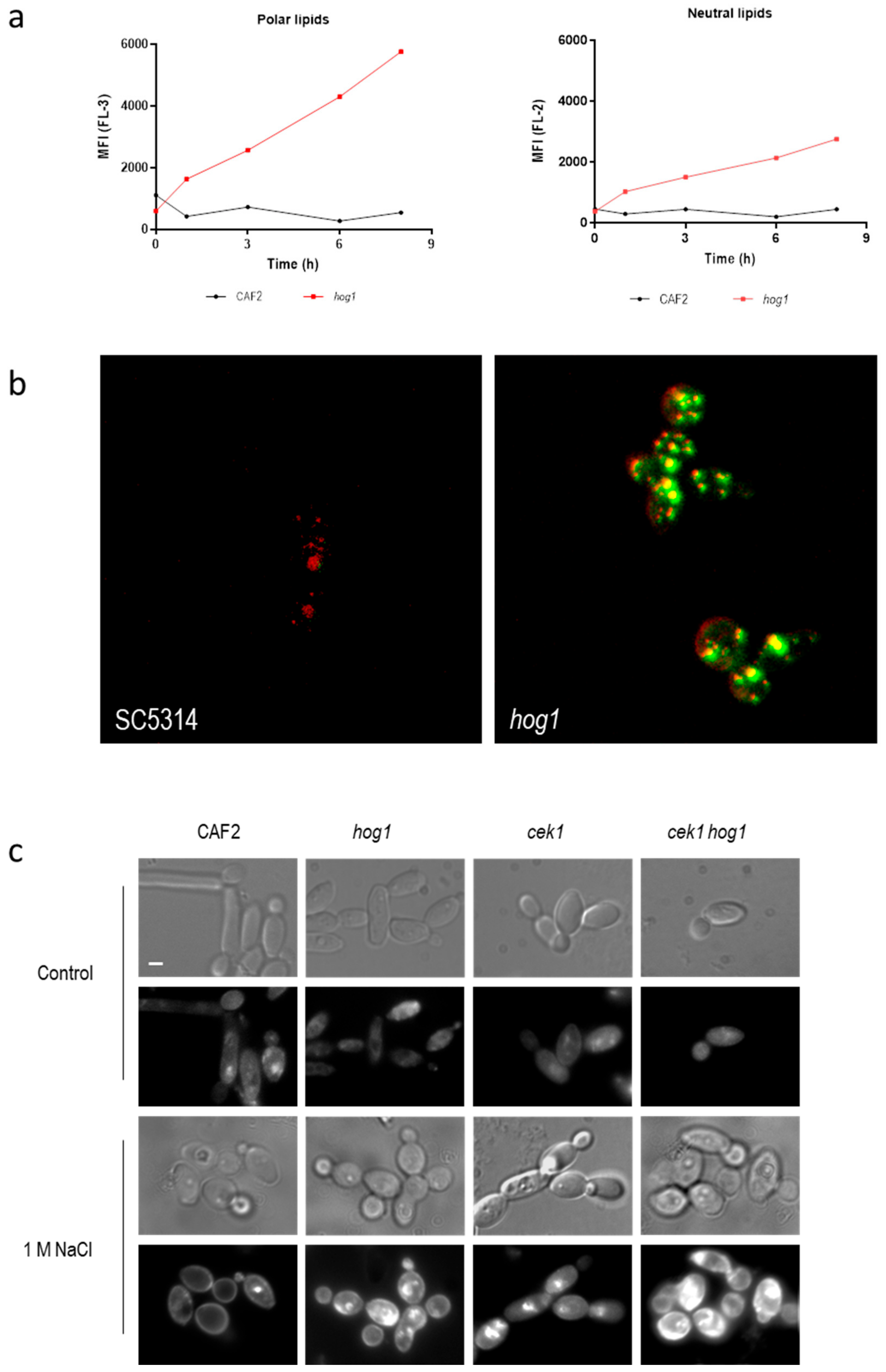 Jof 06 00355 g002 Jof 06 00355 g002