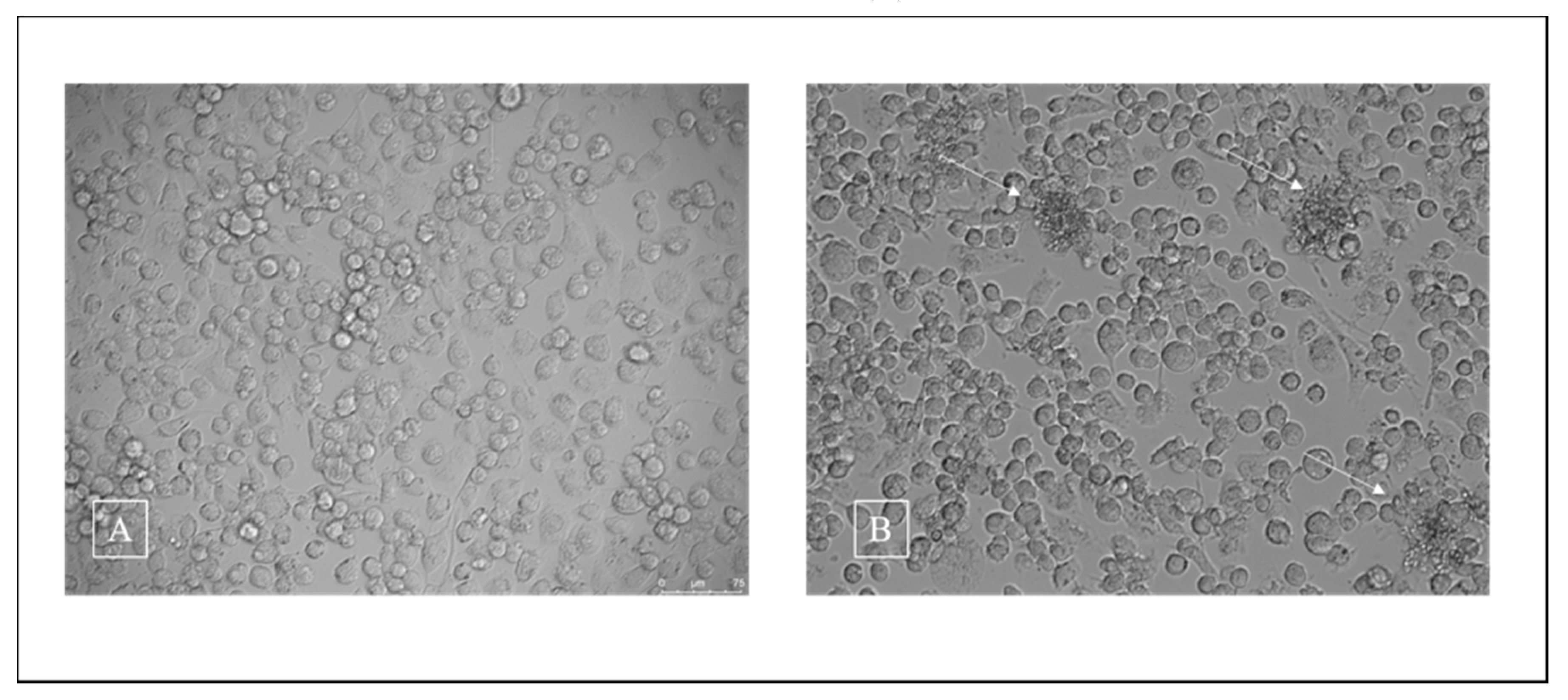 Jof 06 00363 g003 Jof 06 00363 g003