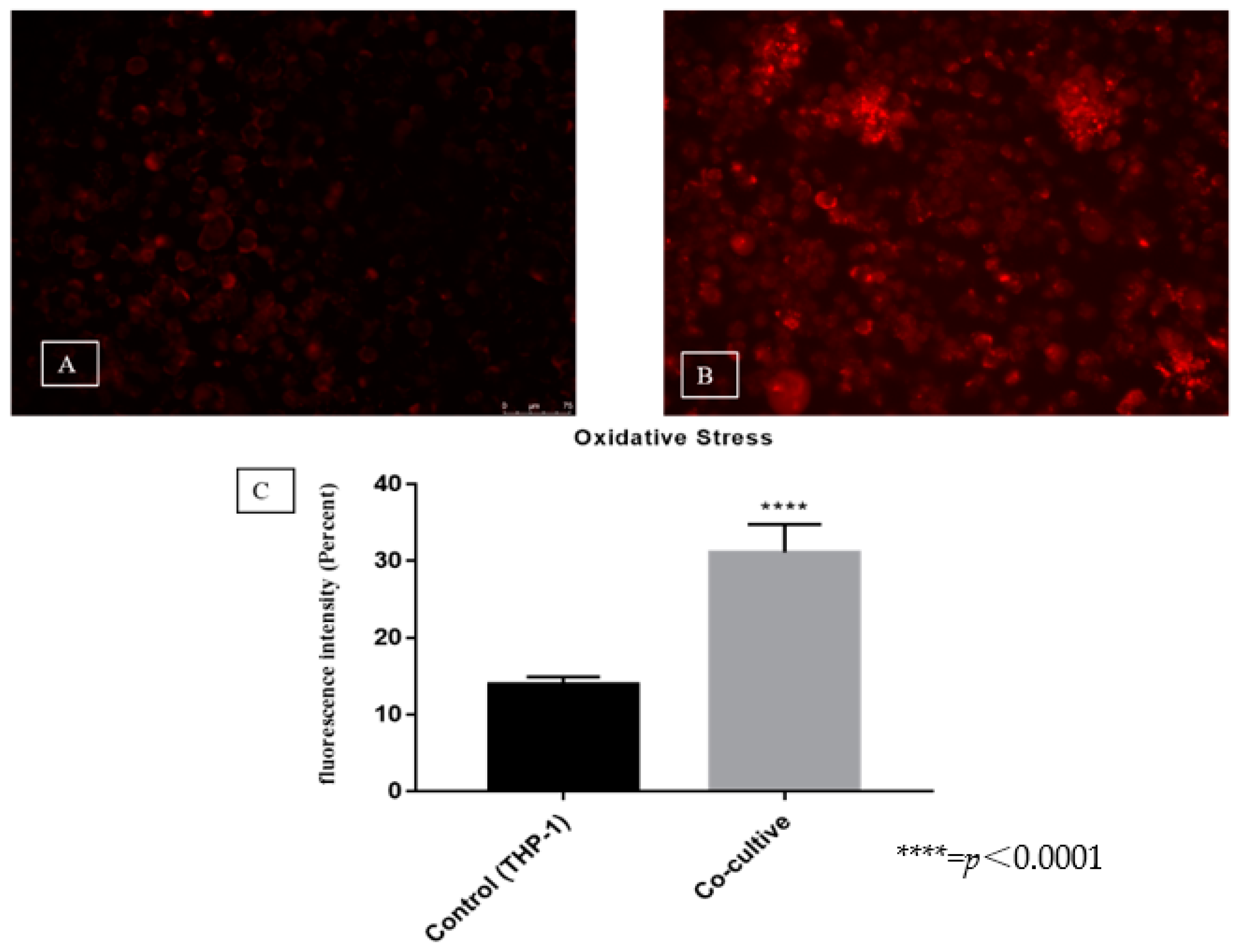 Jof 06 00363 g004 Jof 06 00363 g004