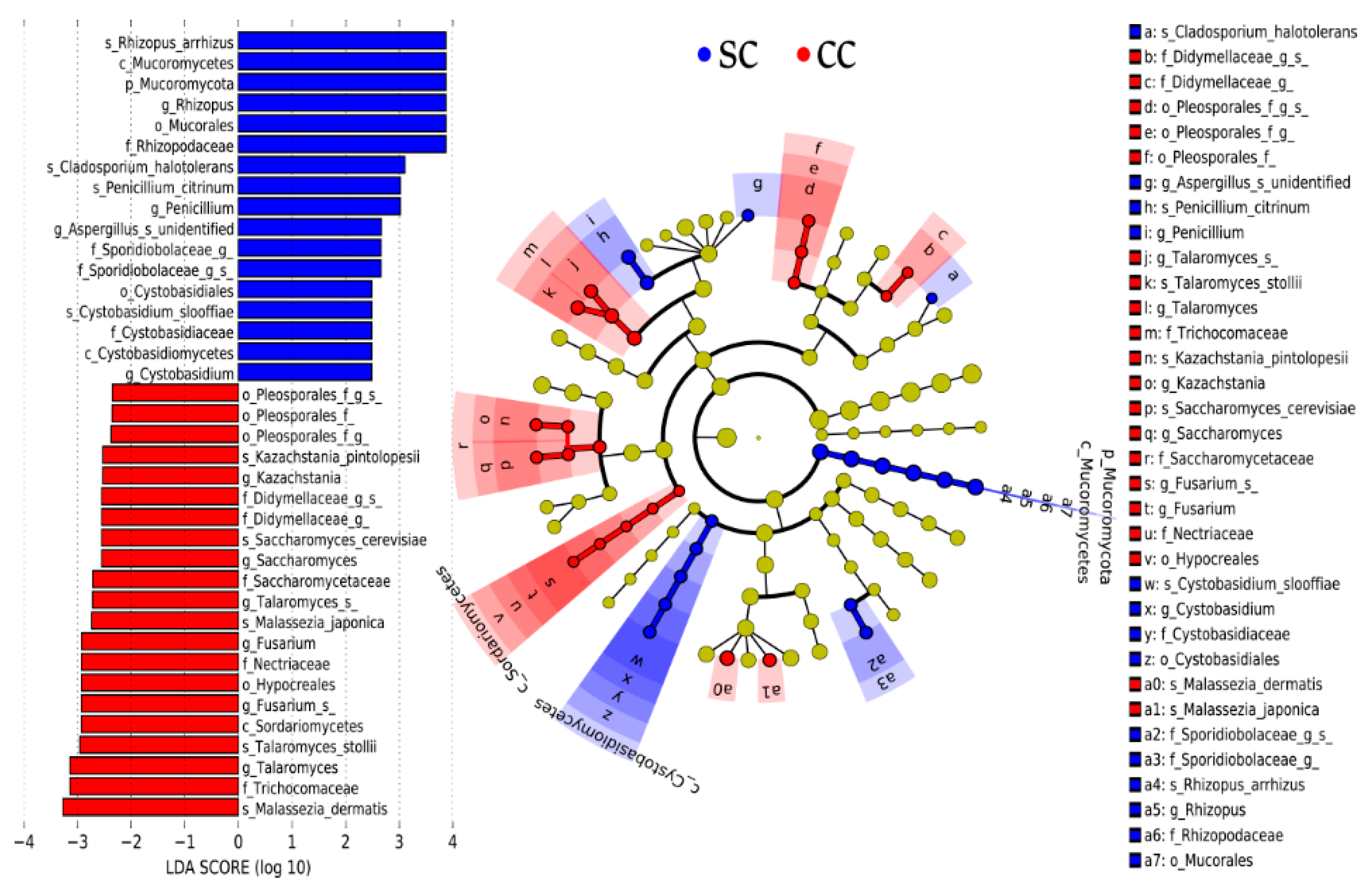Jof 06 00364 g004 Jof 06 00364 g004