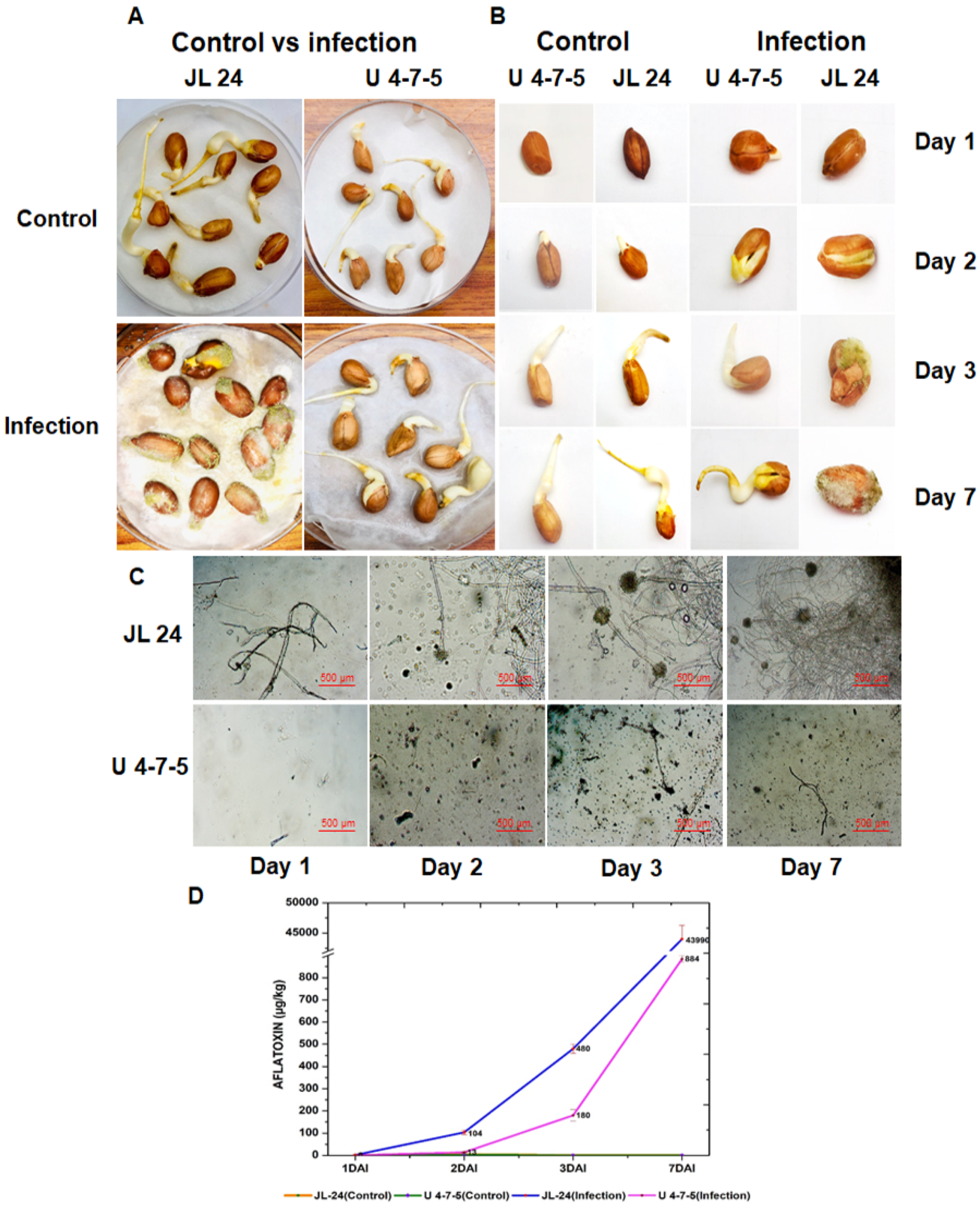 Jof 06 00370 g001 Jof 06 00370 g001
