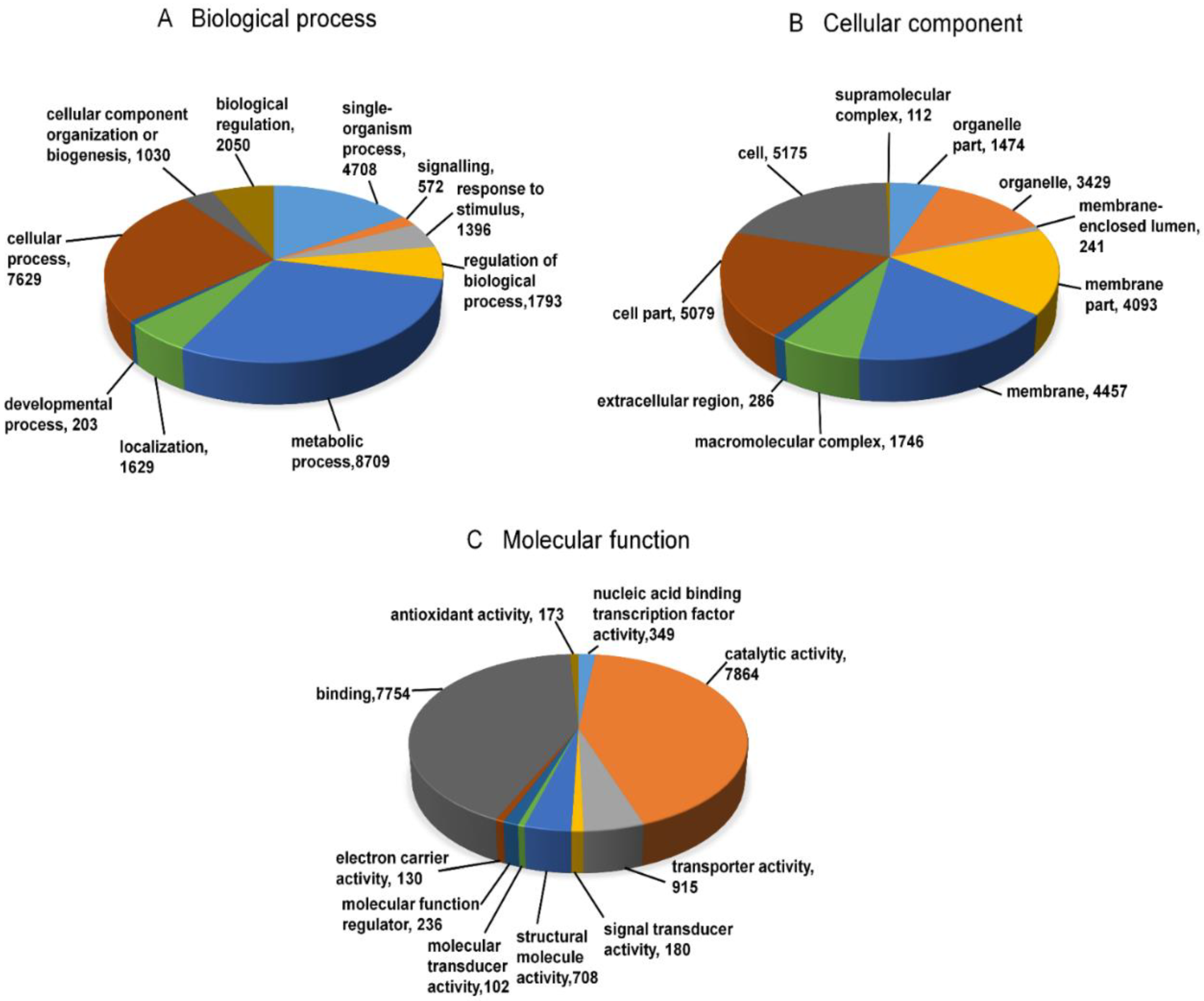 Jof 06 00370 g003 Jof 06 00370 g003
