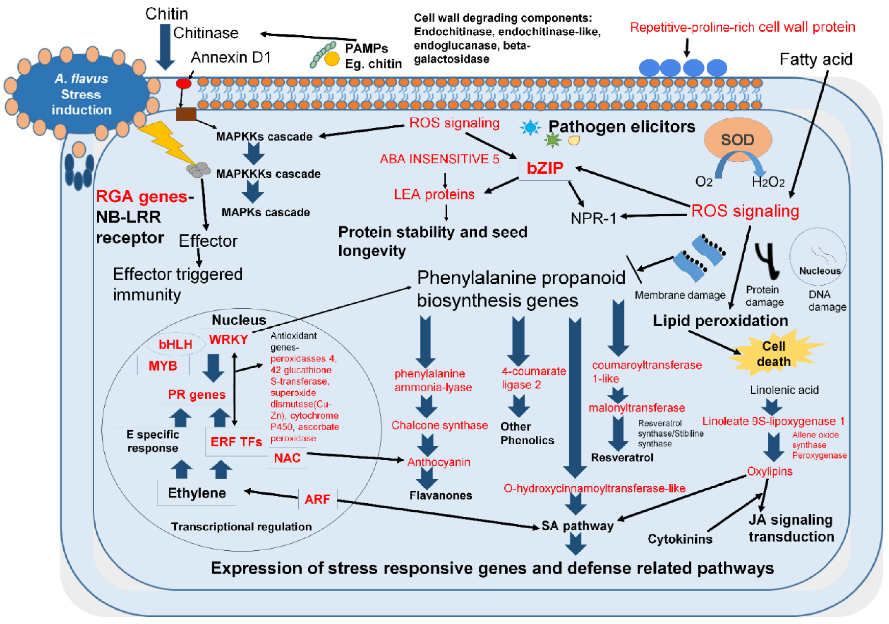 Jof 06 00370 g004 Jof 06 00370 g004