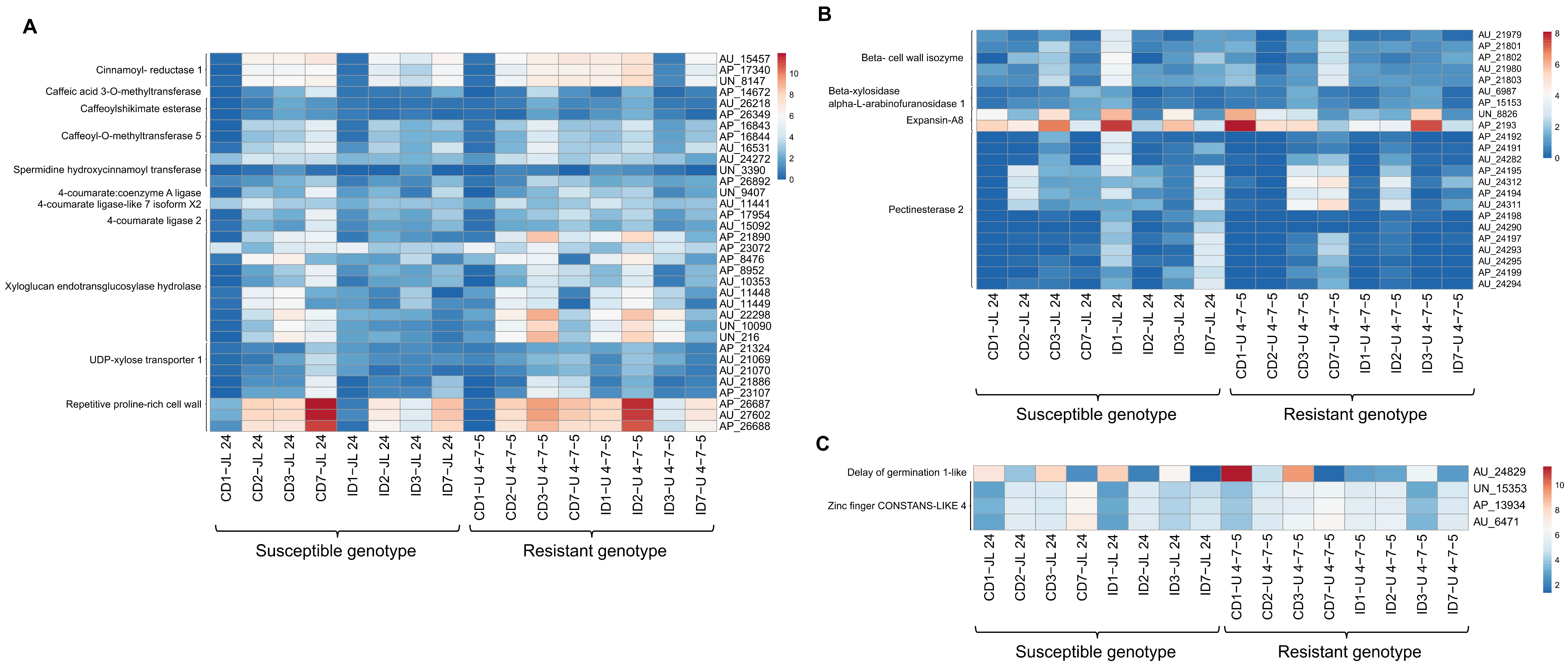 Jof 06 00370 g007 Jof 06 00370 g007