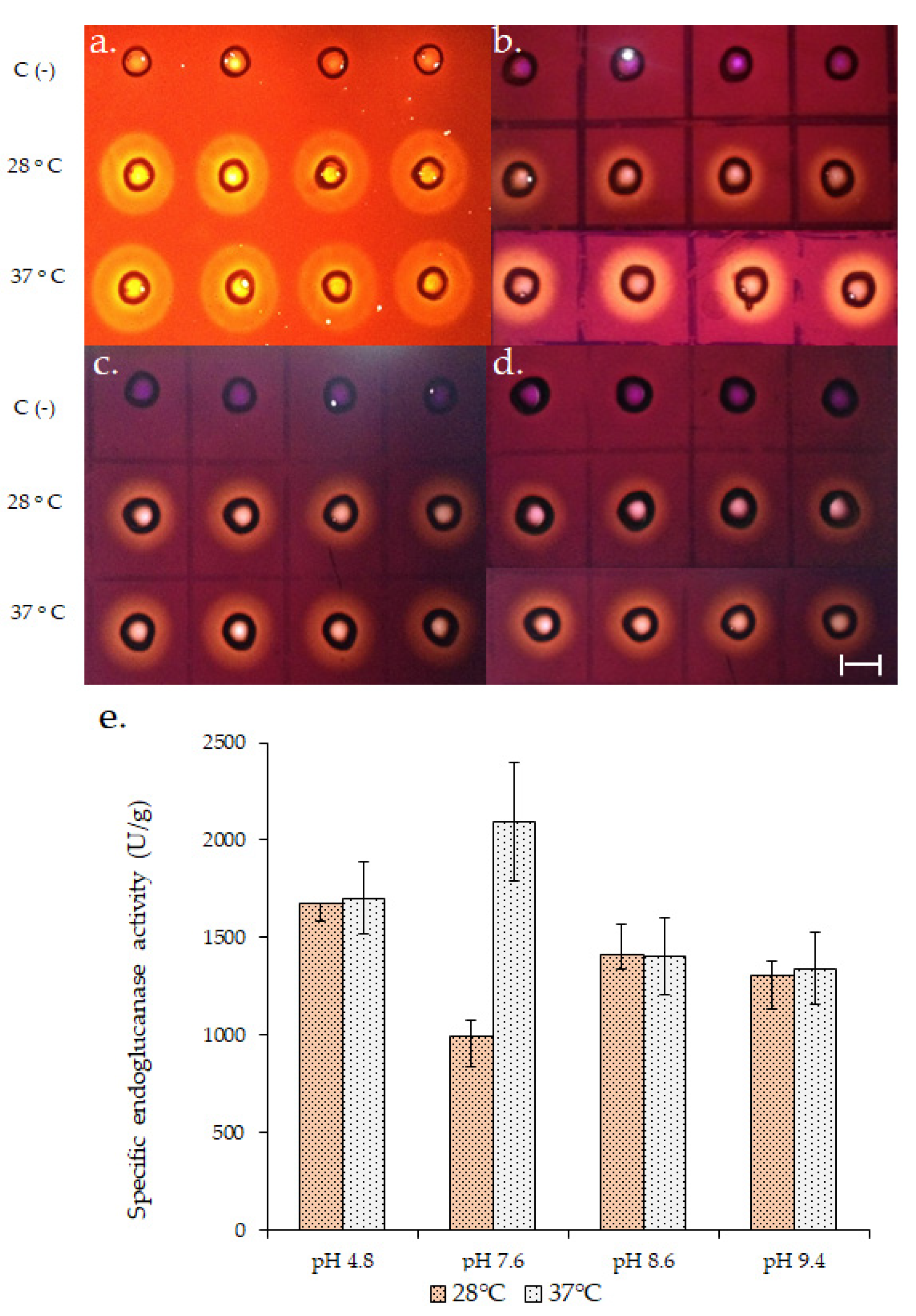 Jof 06 00376 g001 Jof 06 00376 g001