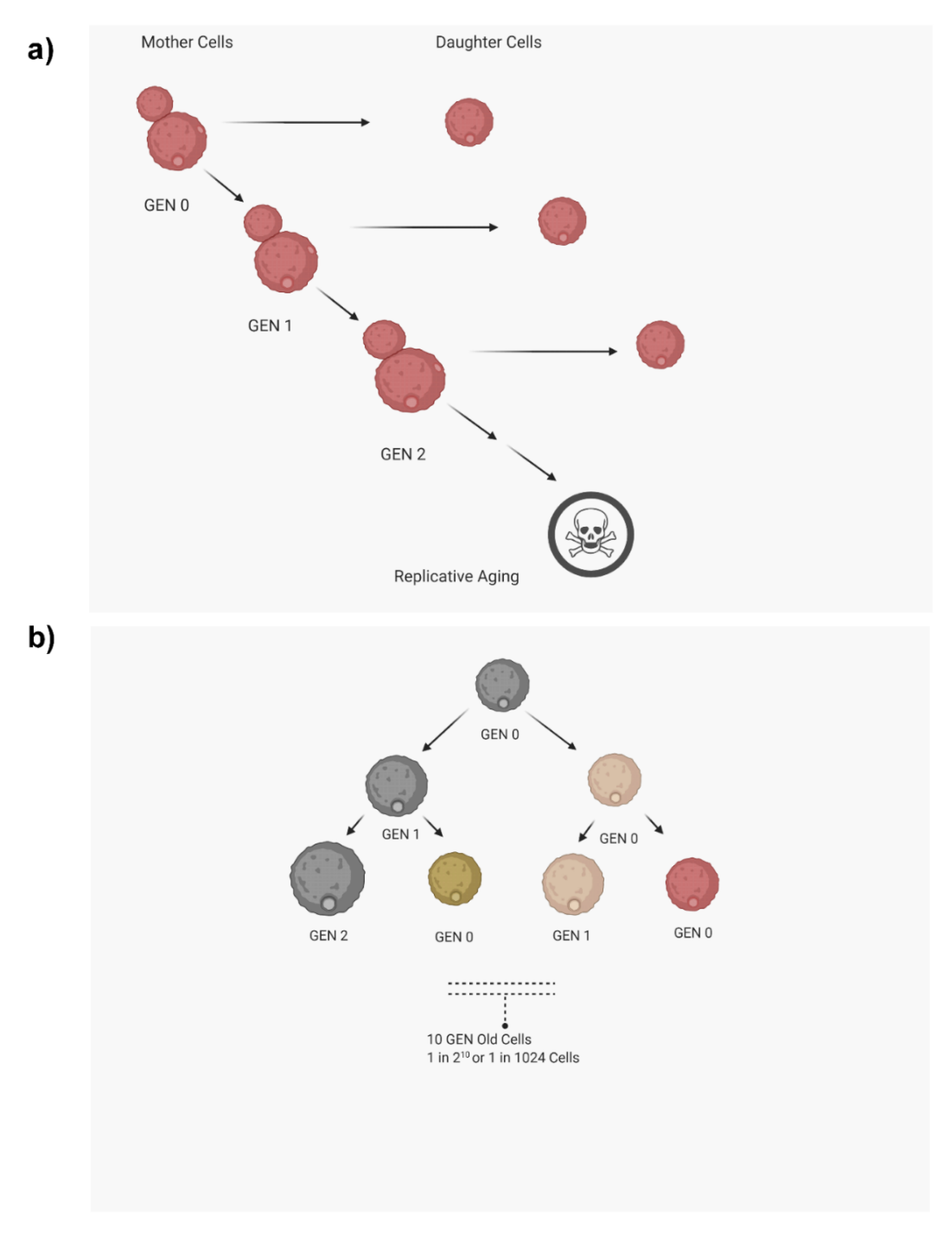 Jof 07 00006 g001 Jof 07 00006 g001