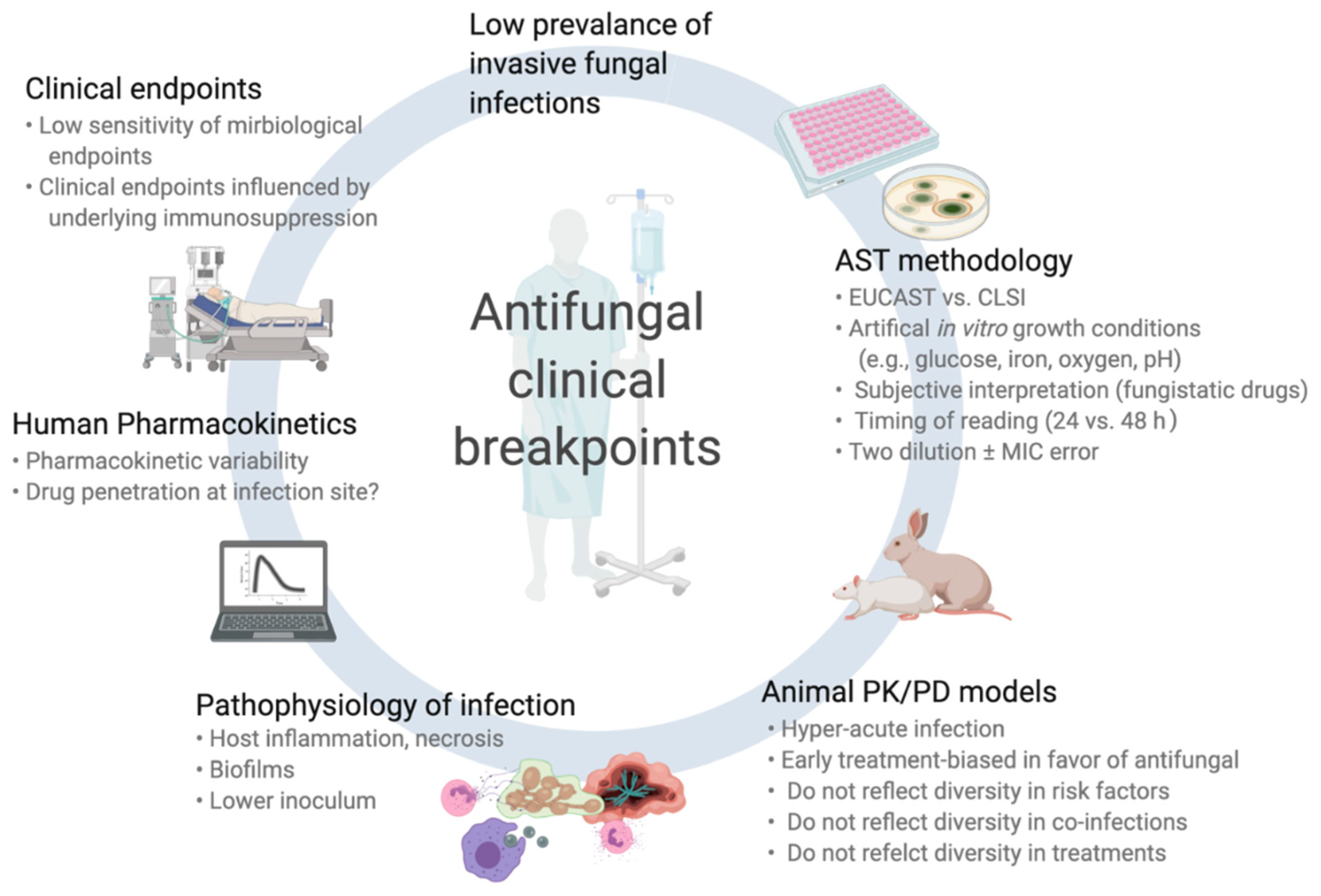 Antifungal Treatment Therapy at Tammy Warkentin blog Antifungal Treatment Therapy at Tammy Warkentin blog