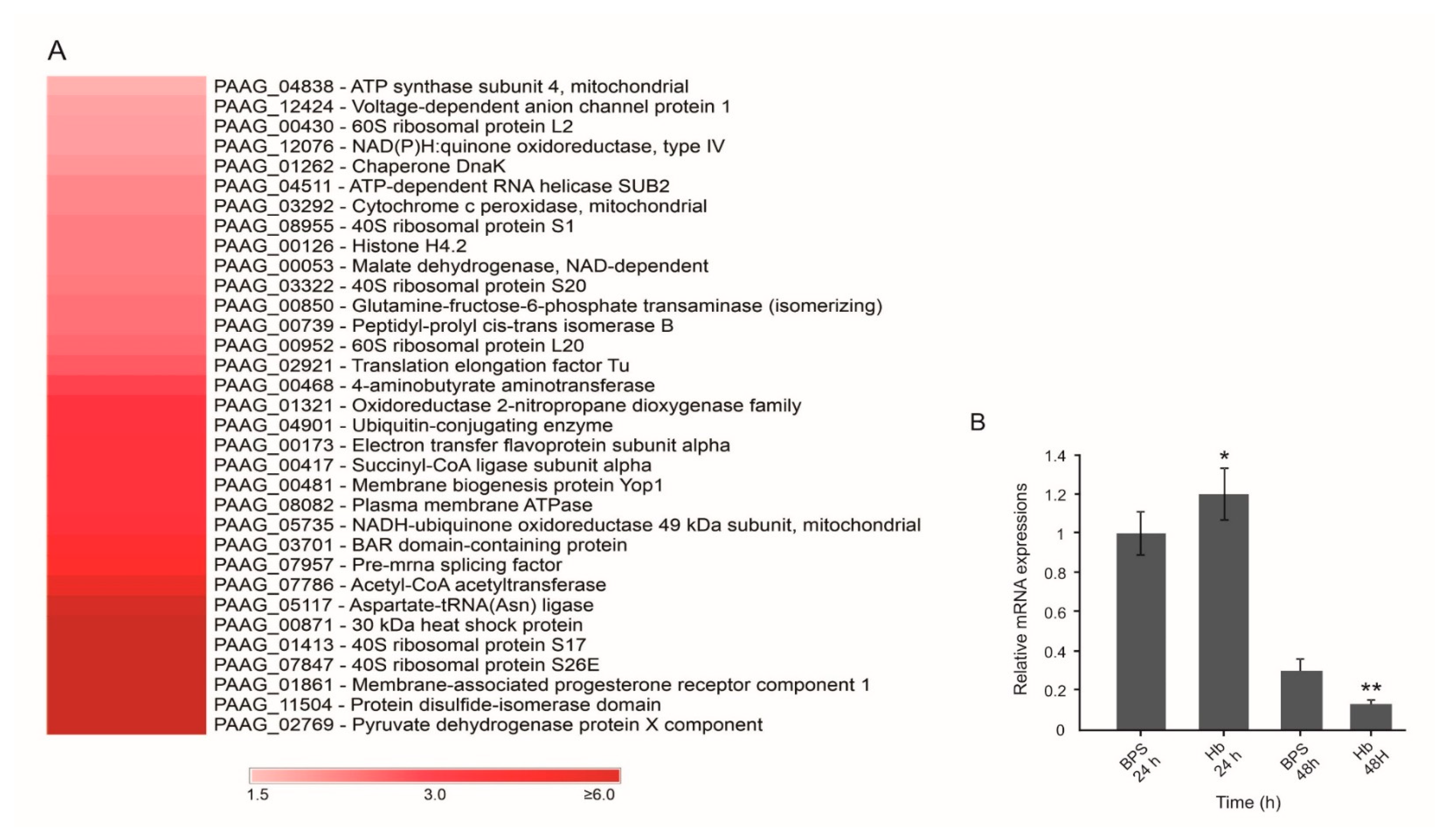 Jof 07 00021 g001 Jof 07 00021 g001