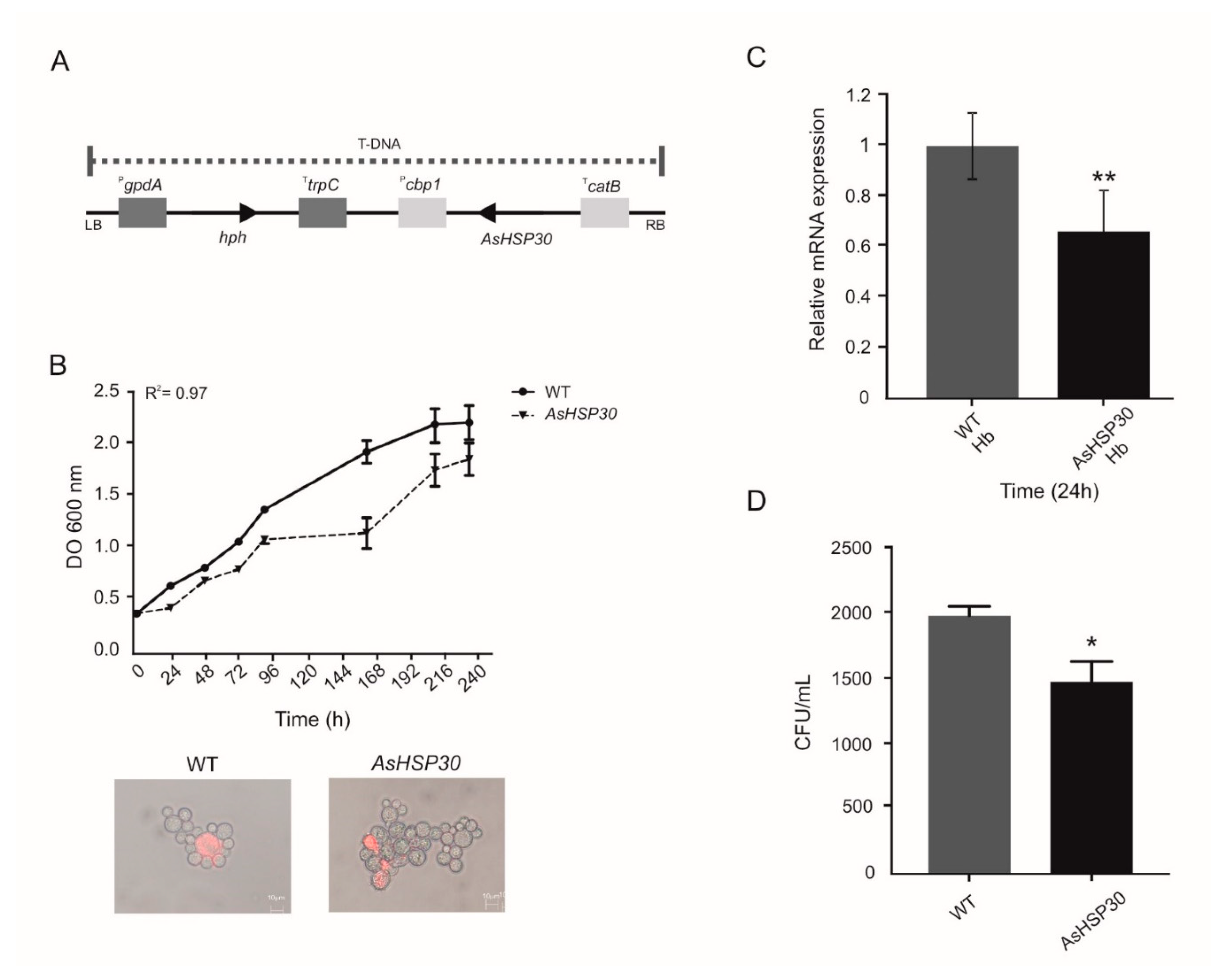 Jof 07 00021 g005 Jof 07 00021 g005
