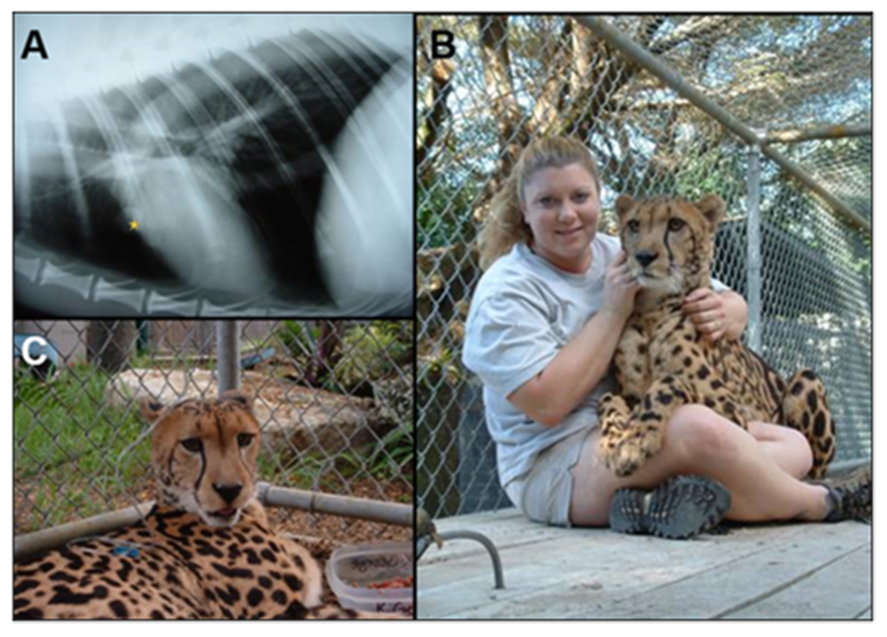 Jof 07 00029 g003 Jof 07 00029 g003