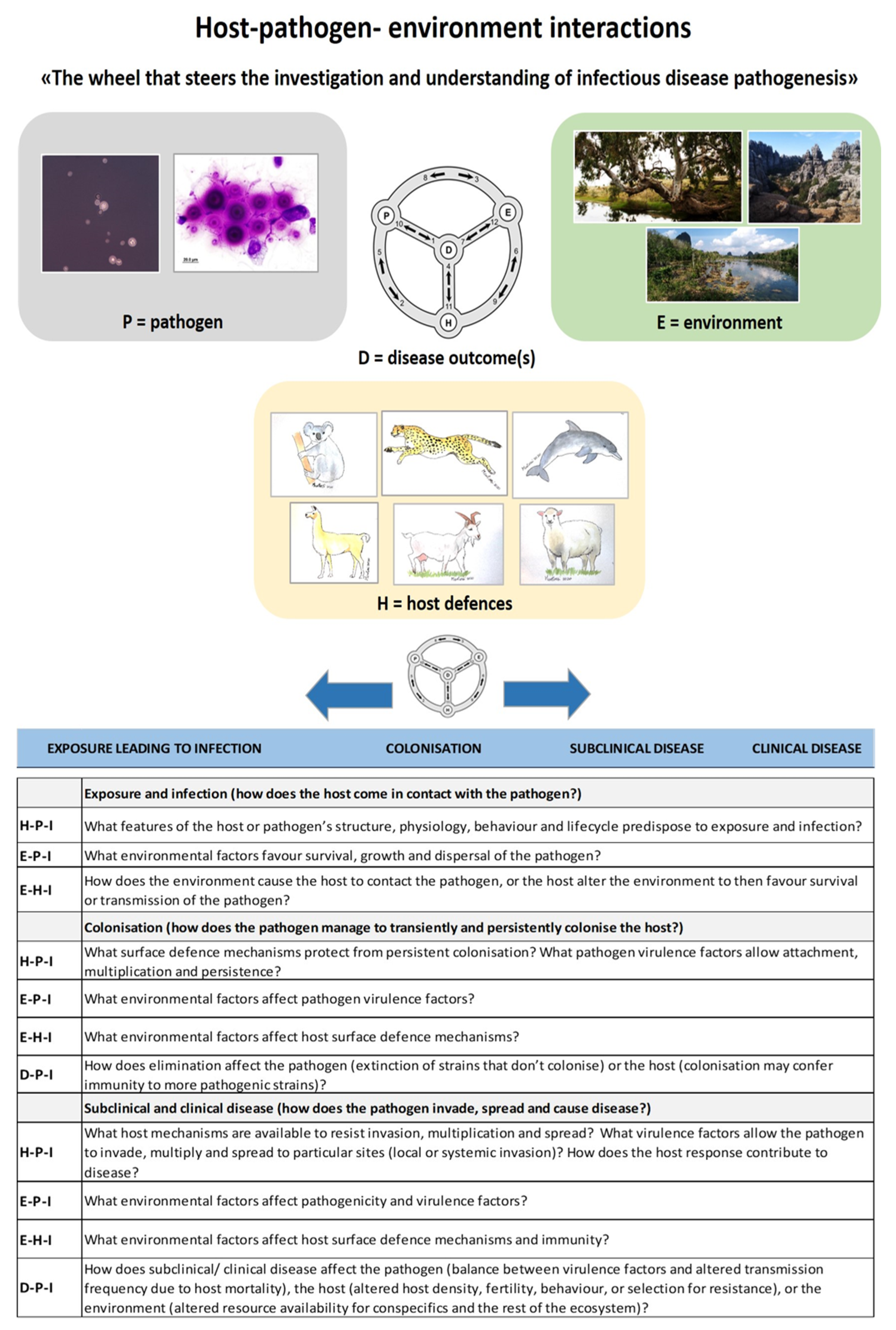 Jof 07 00029 g005 Jof 07 00029 g005