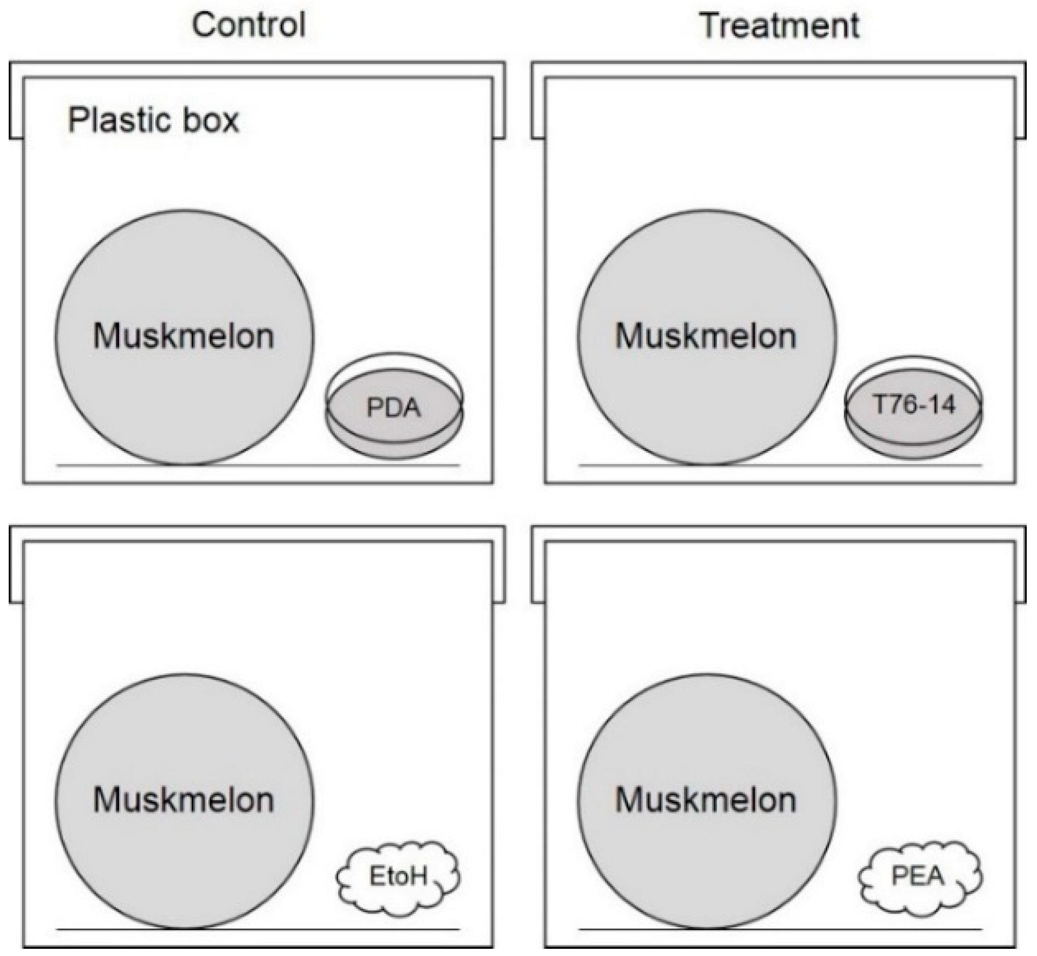 Jof 07 00046 g001 Jof 07 00046 g001
