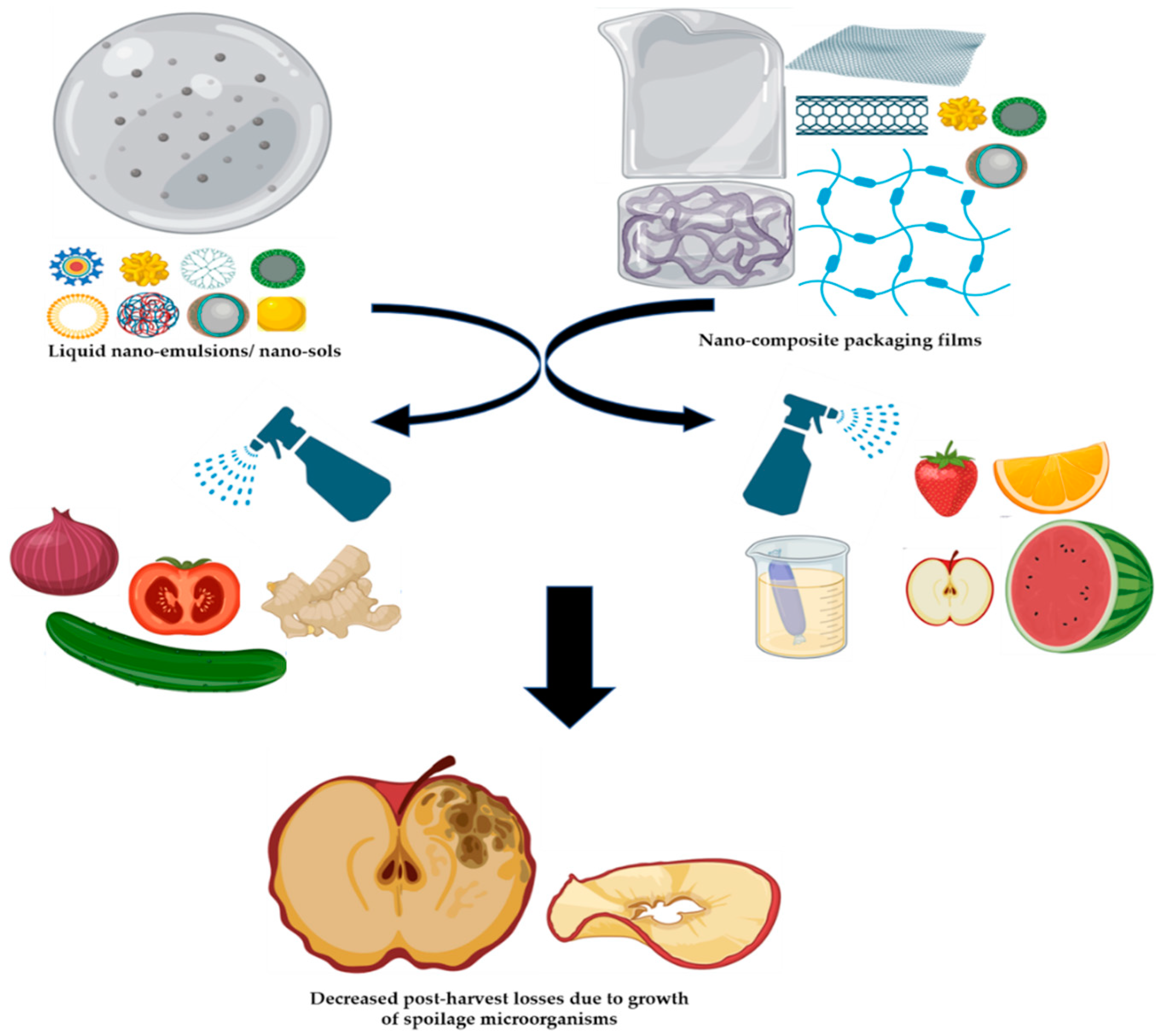 Jof 07 00048 g006 Jof 07 00048 g006