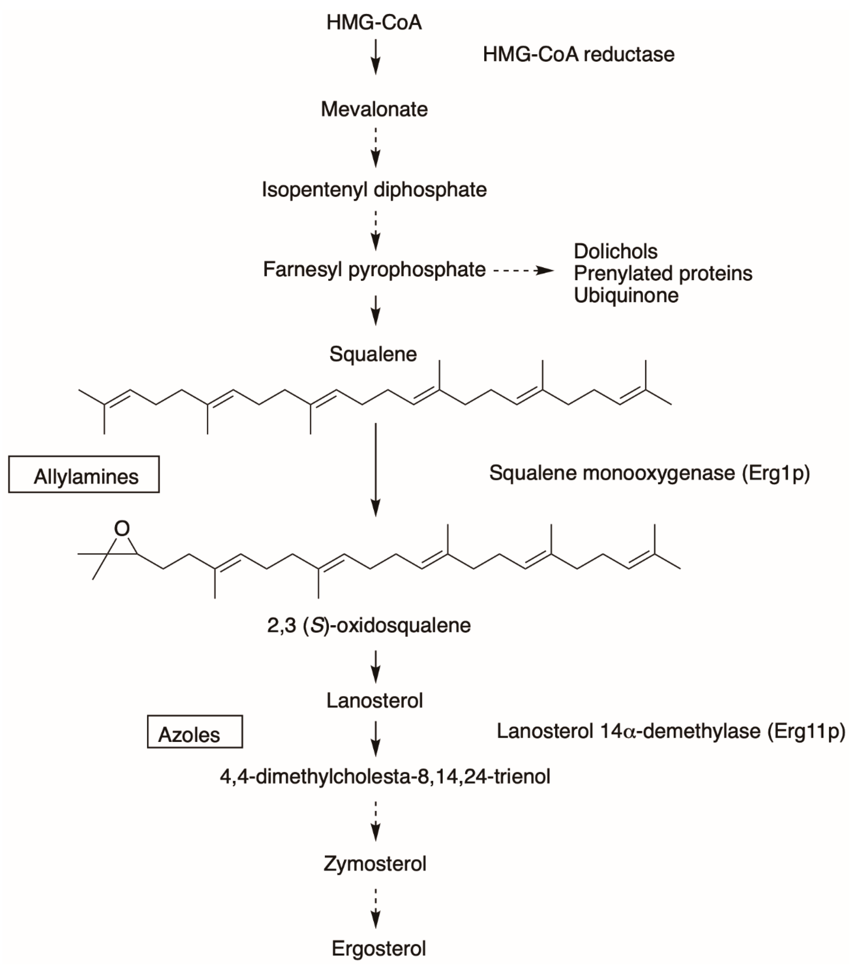Jof 07 00049 g002 Jof 07 00049 g002