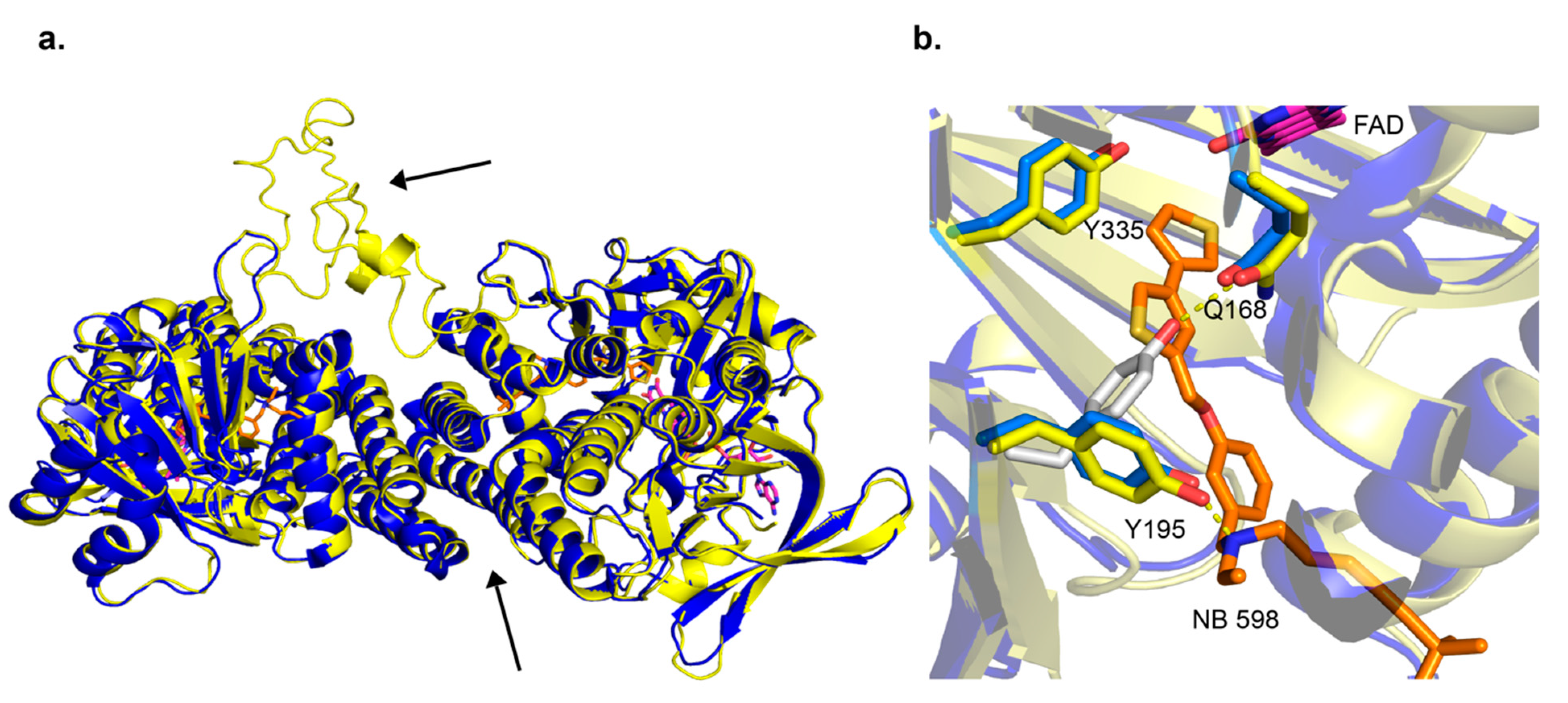 Jof 07 00049 g003 Jof 07 00049 g003